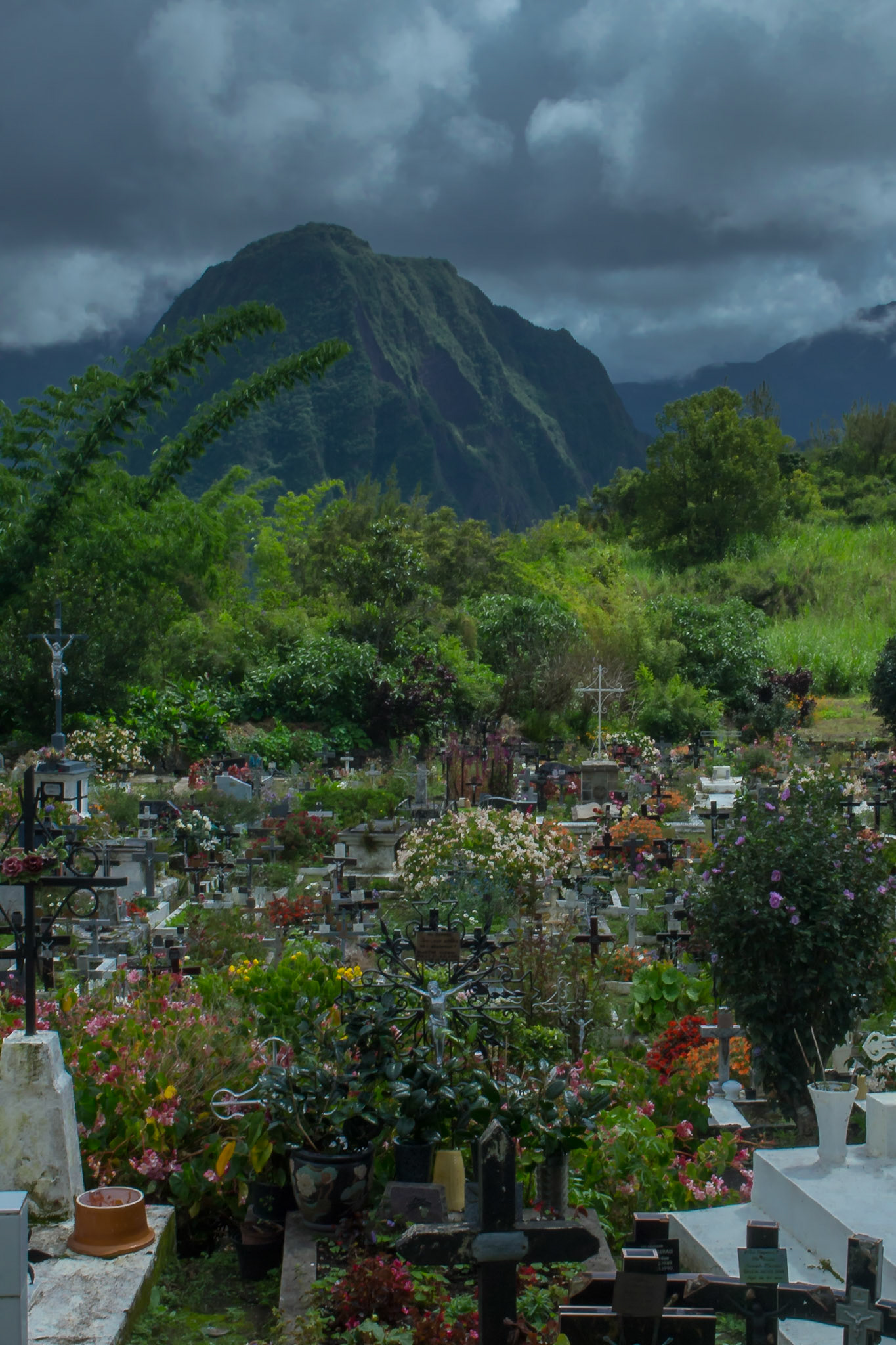 Salazie, Saint-Benoit, Réunion [Apr 2017]