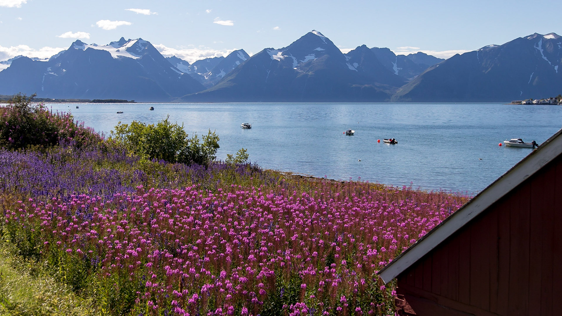 Rotsund, Troms, Norway [Aug 2022]