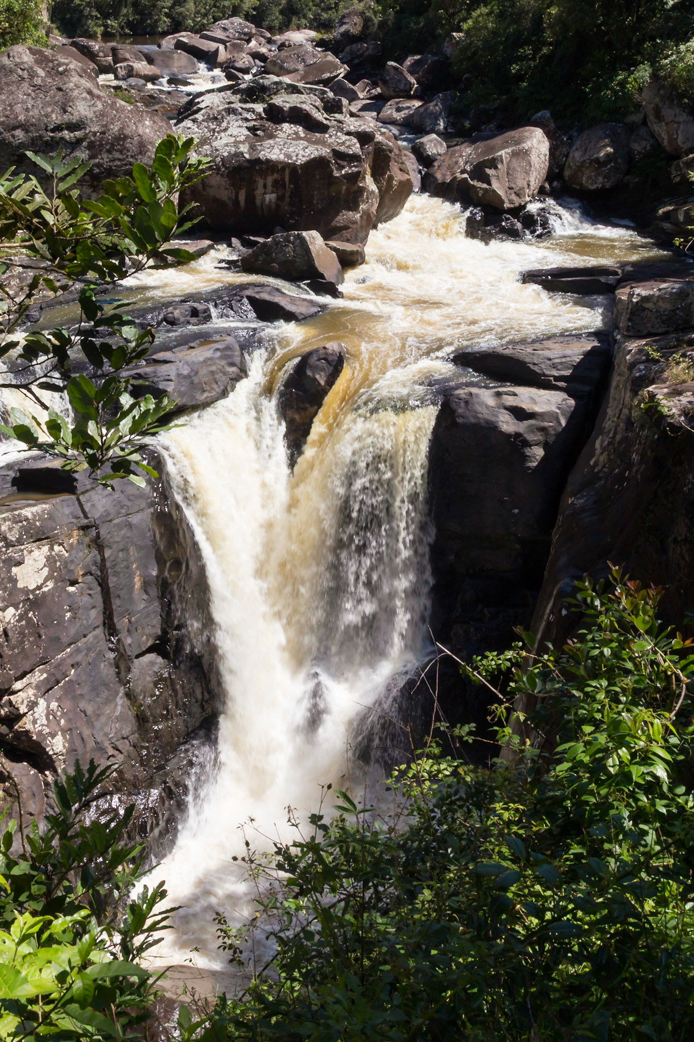 Ranomafana, Vatovavy, Madagascar [Apr 2019]