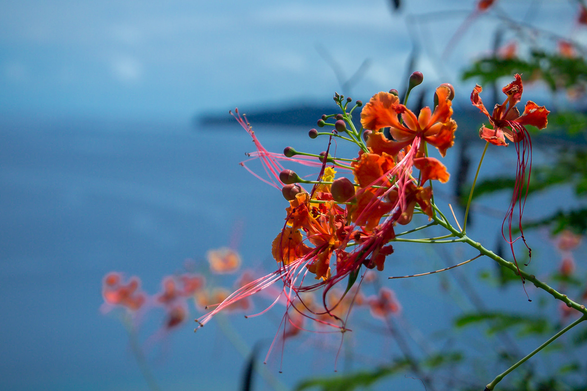 Kani-Kéli, Canton de Boueni, Mayotte [Apr 2017]
