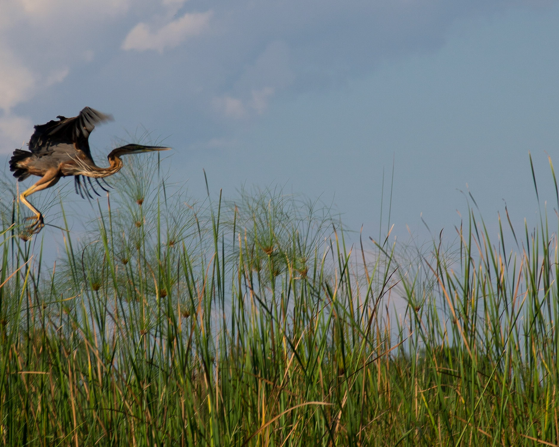 , North West, Botswana [Apr 2014]