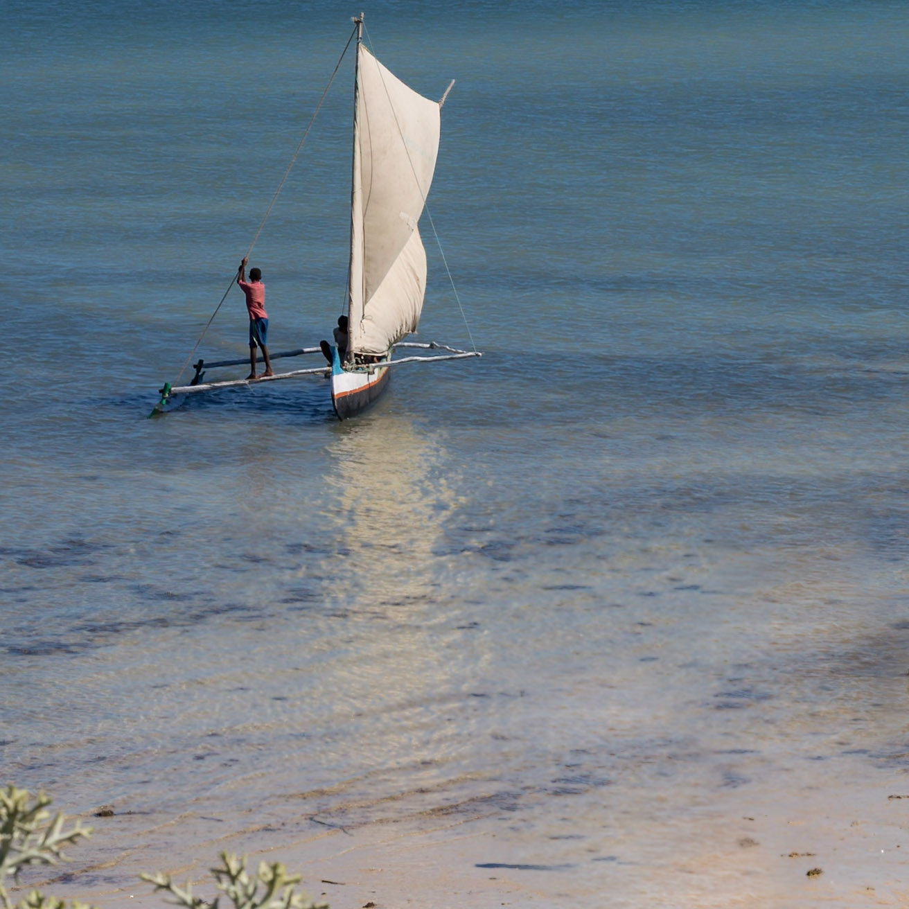 Ifaty, Toliara, Madagascar [Apr 2019]