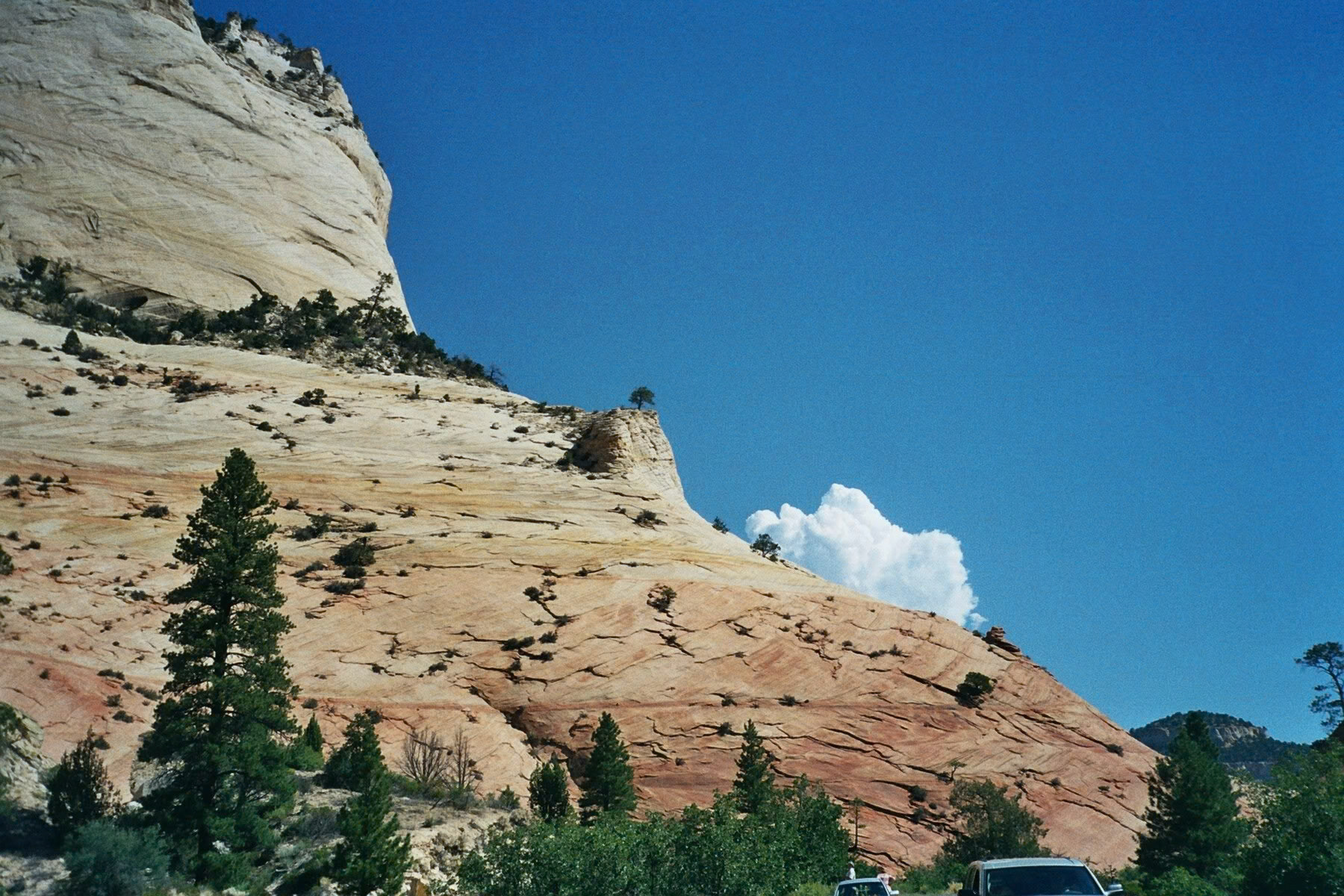 Springdale, Utah, United States [Aug 2008]