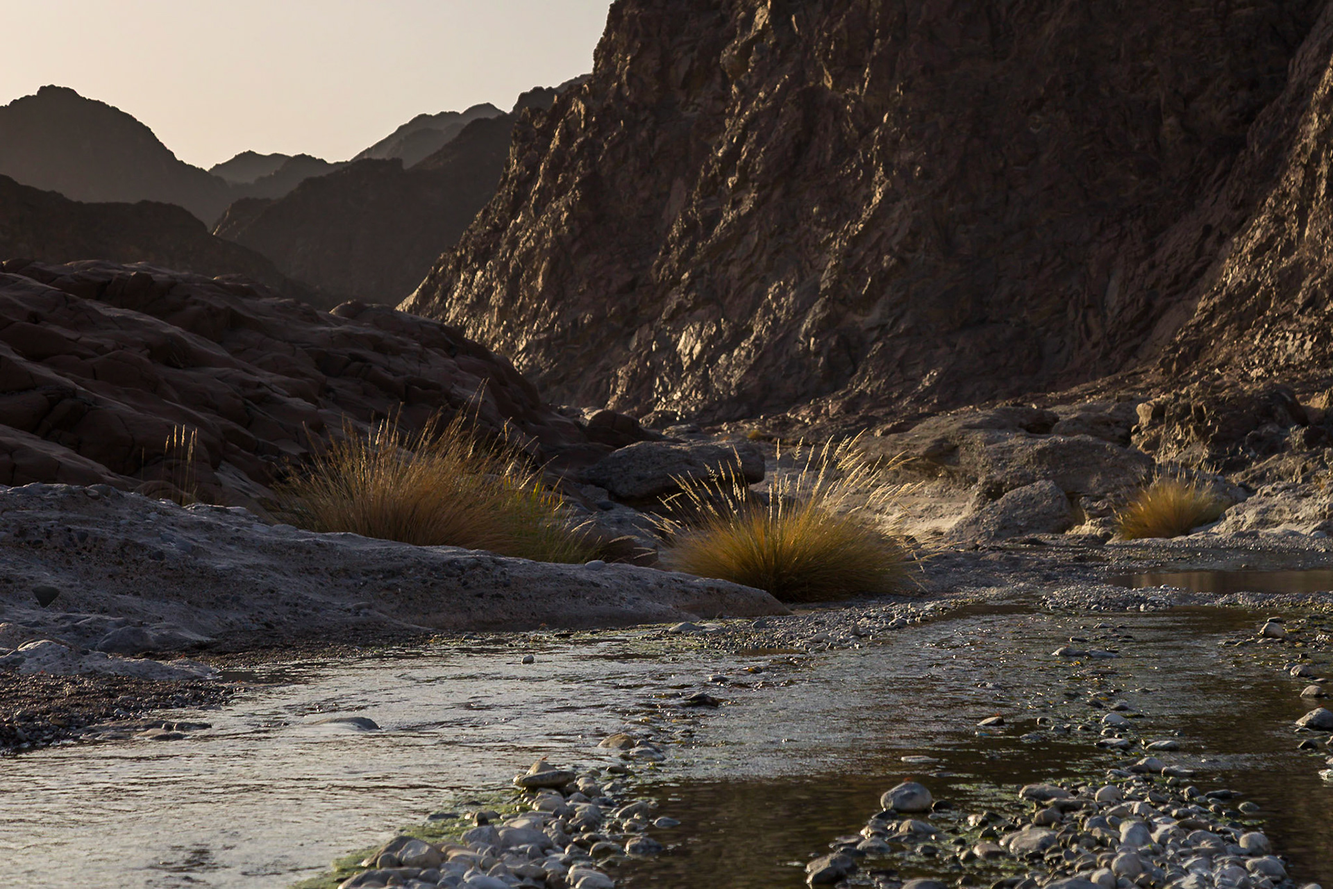 Nakhal, Al Batinah South Governorate, Oman [Mar 2018]