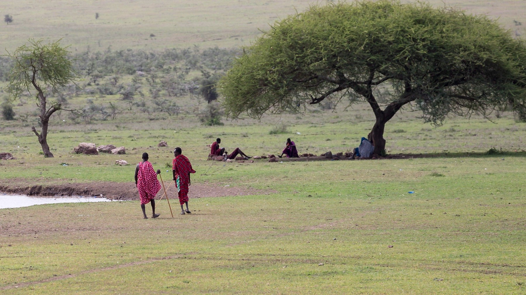 , Arusha, Tanzania [Jan 2023]