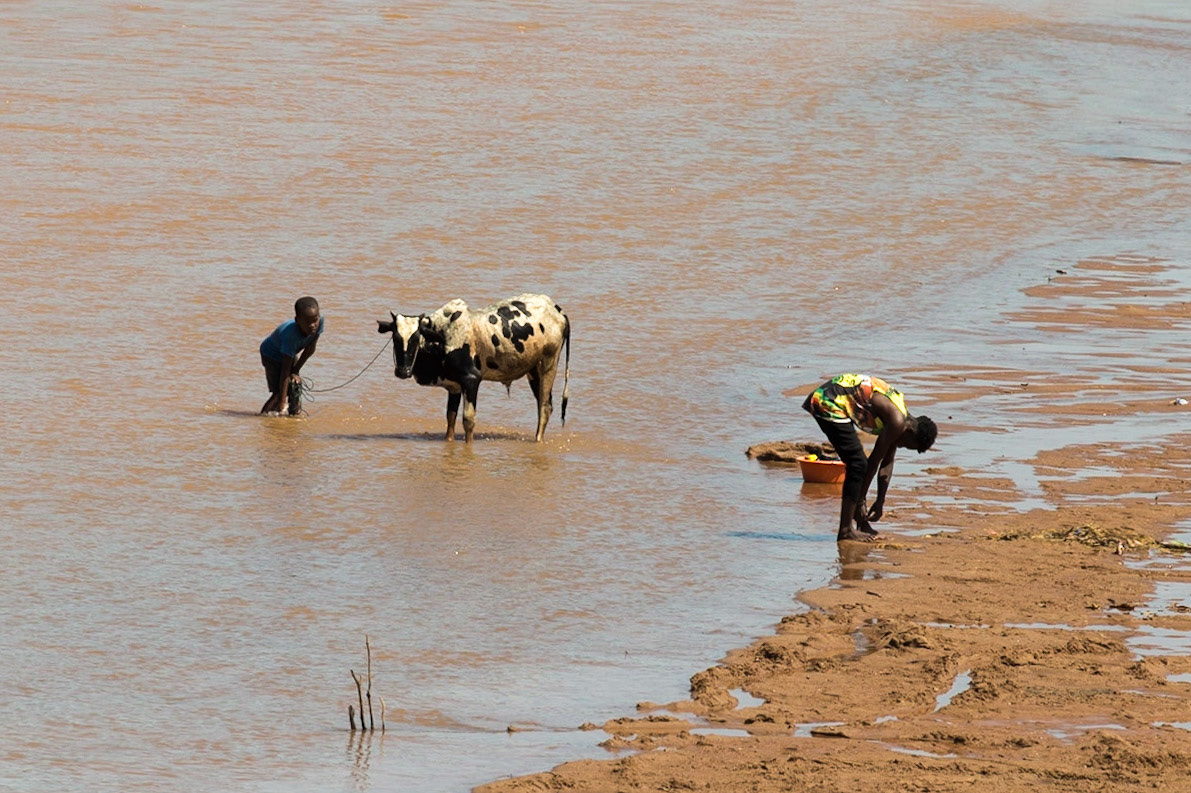 Ambatohaly, Antanifotsy, Madagascar [Apr 2019]