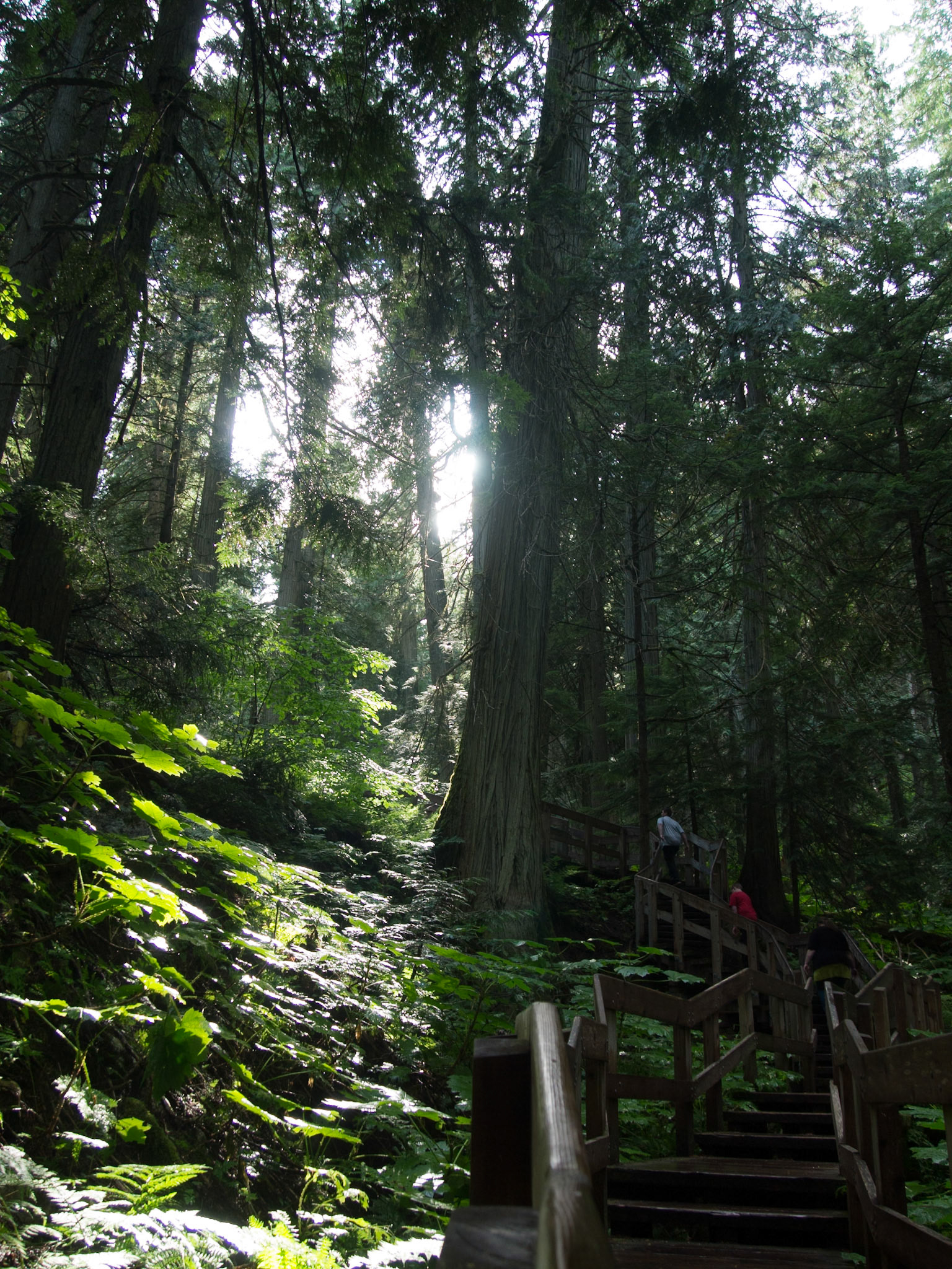 Columbia-Shuswap Regional District, British Columbia, Canada [Aug 2014]