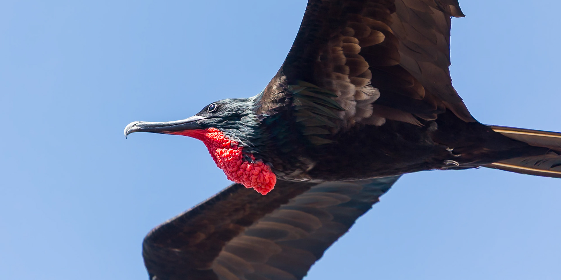 Santa Cruz Canton, Galápagos, Ecuador [Apr 2022]
