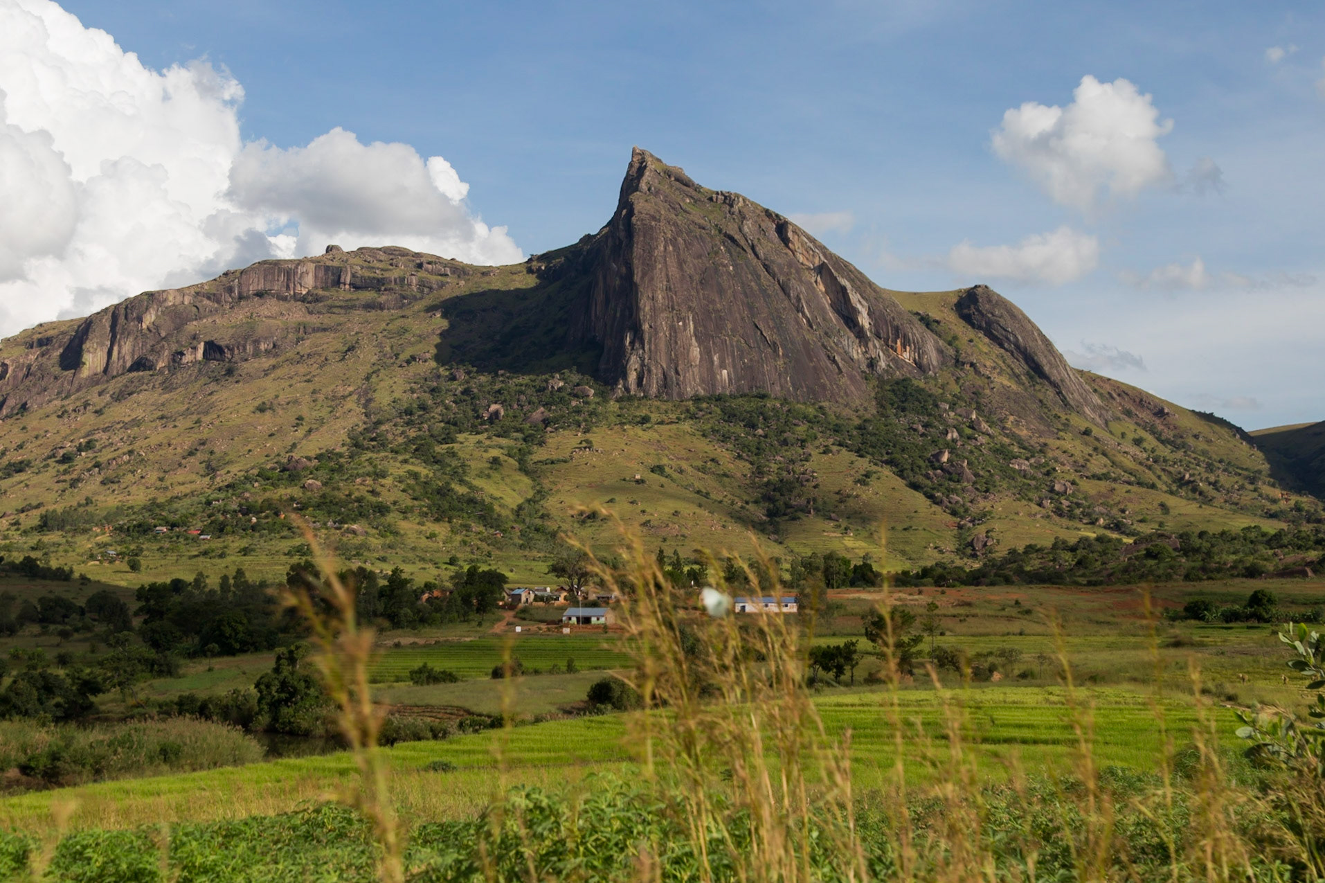 Camp Catta, Haute Matsiatra, Madagascar [Apr 2019]