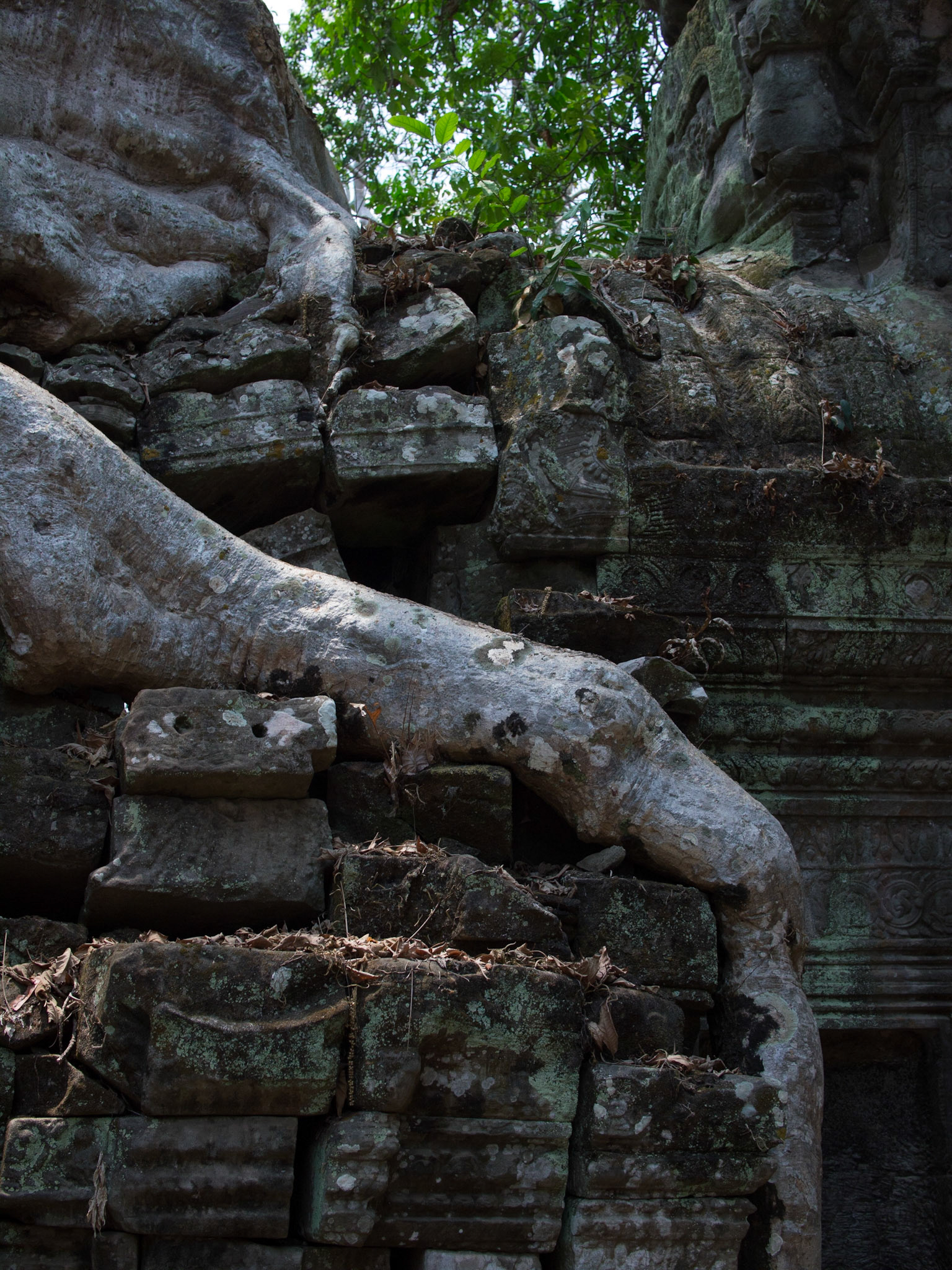 Angkor, Siem Reap, Cambodia [Apr 2015]