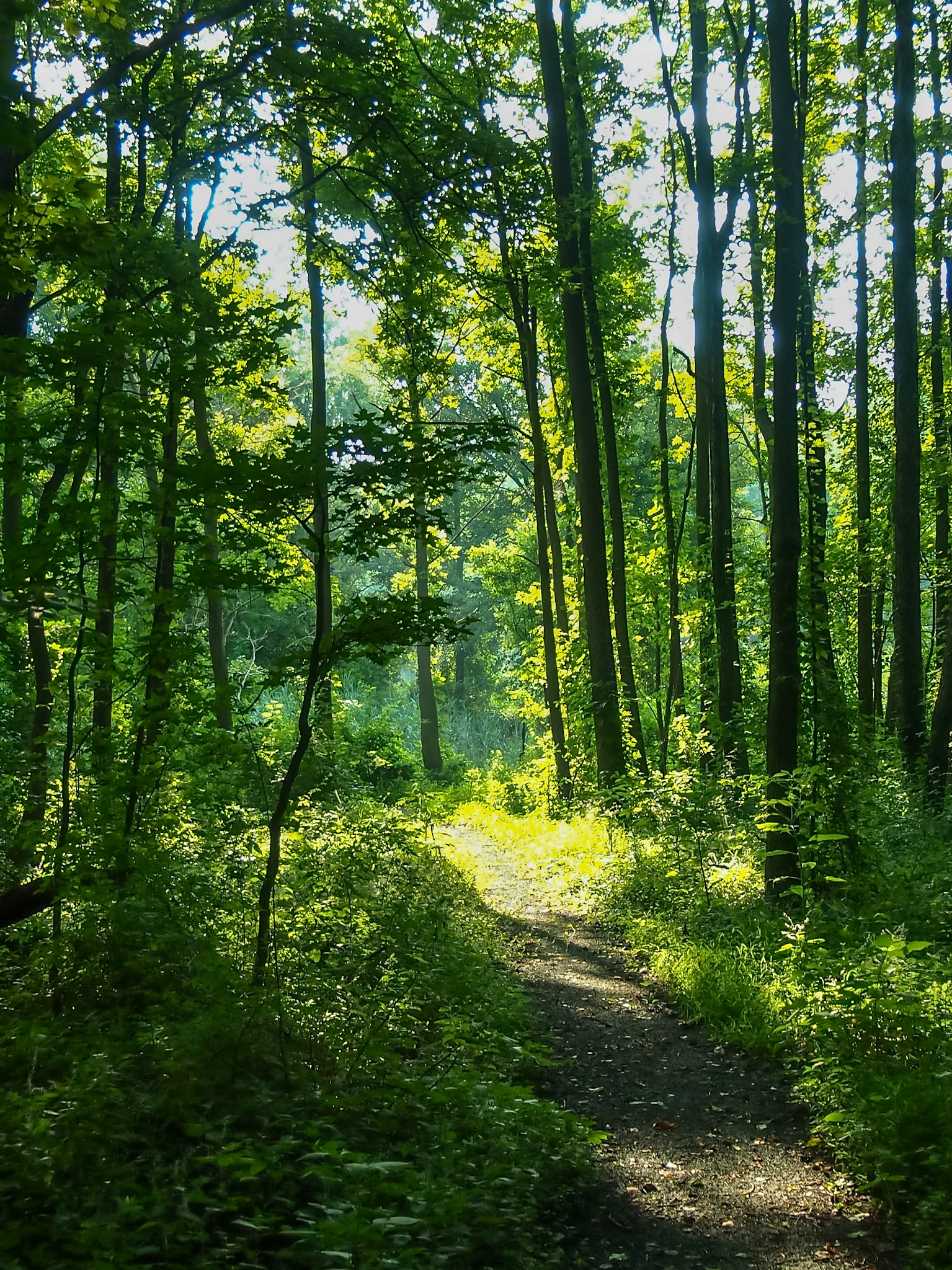 Smyrna, Delaware, United States [Jul 2013]