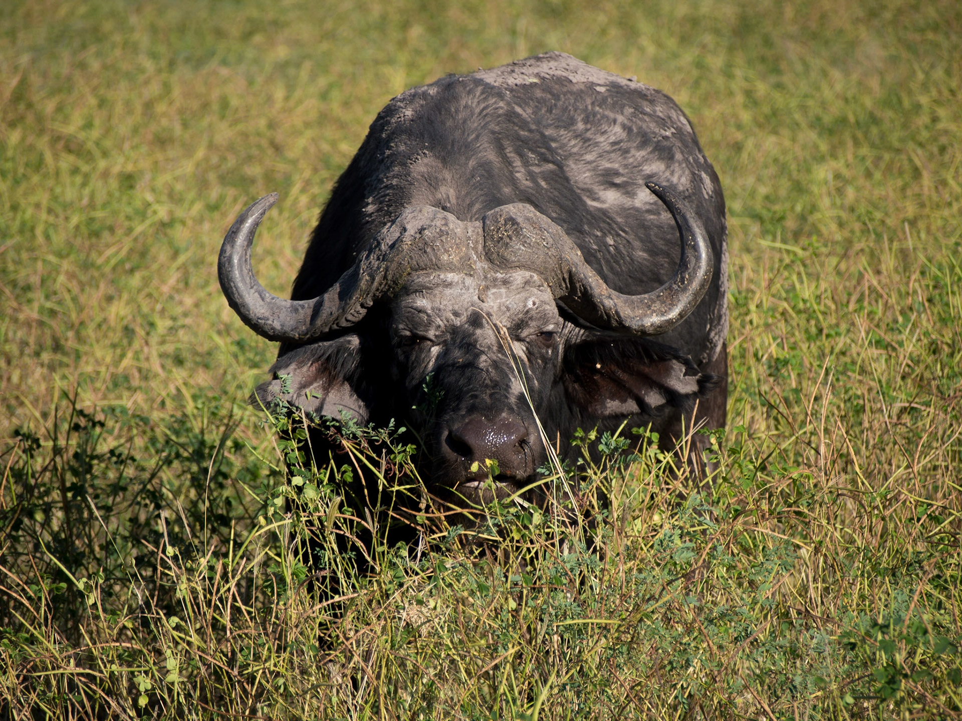 , North West, Botswana [Apr 2014]