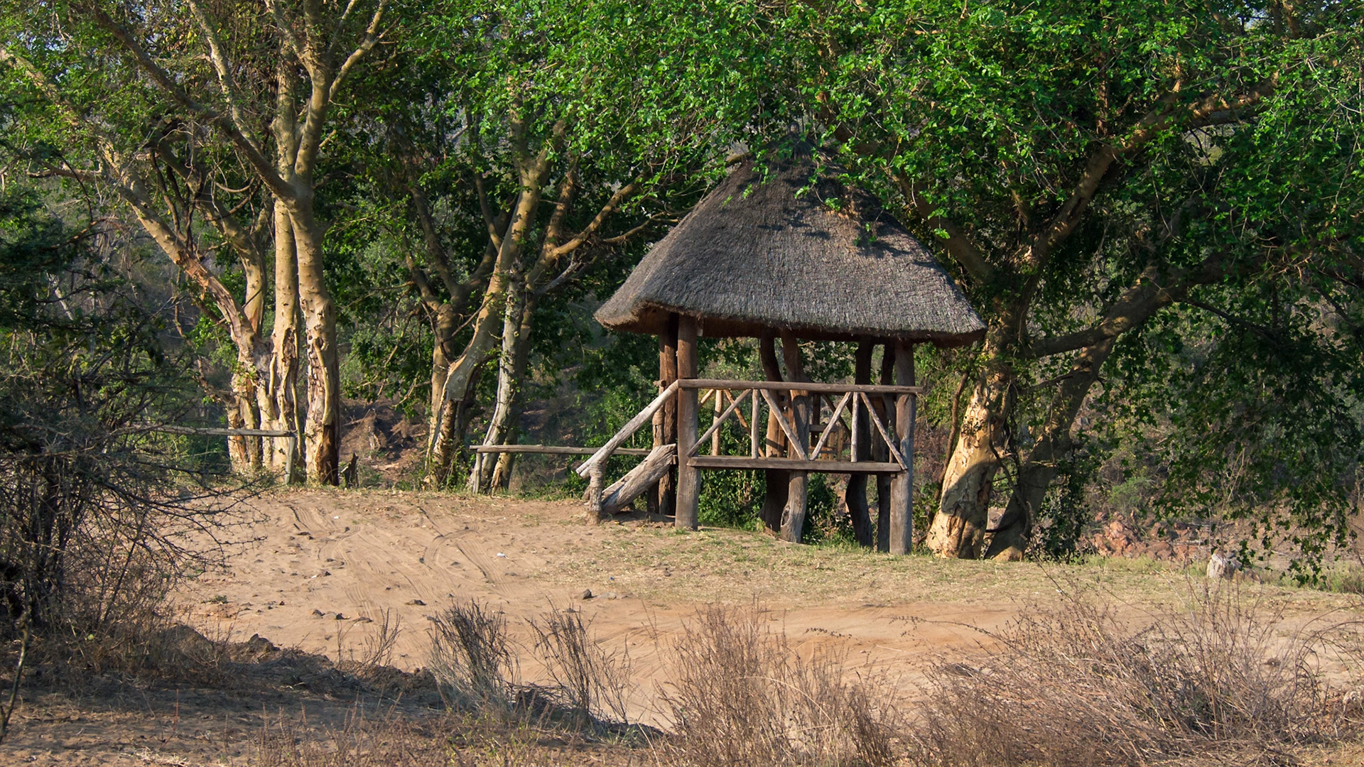 Majete Wildlife Reserve, Southern Region, Malawi [Aug 2016]