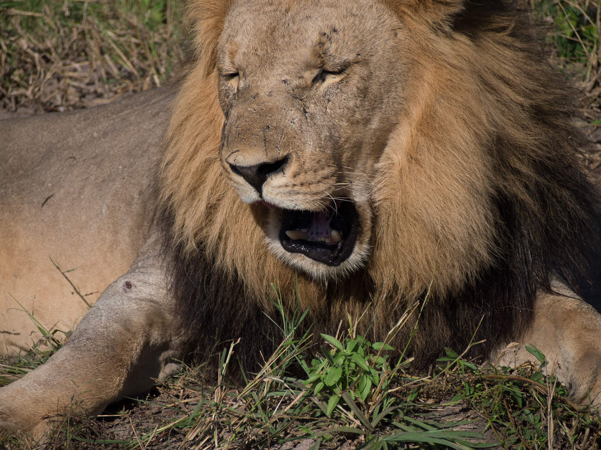 , North West, Botswana [Apr 2014]