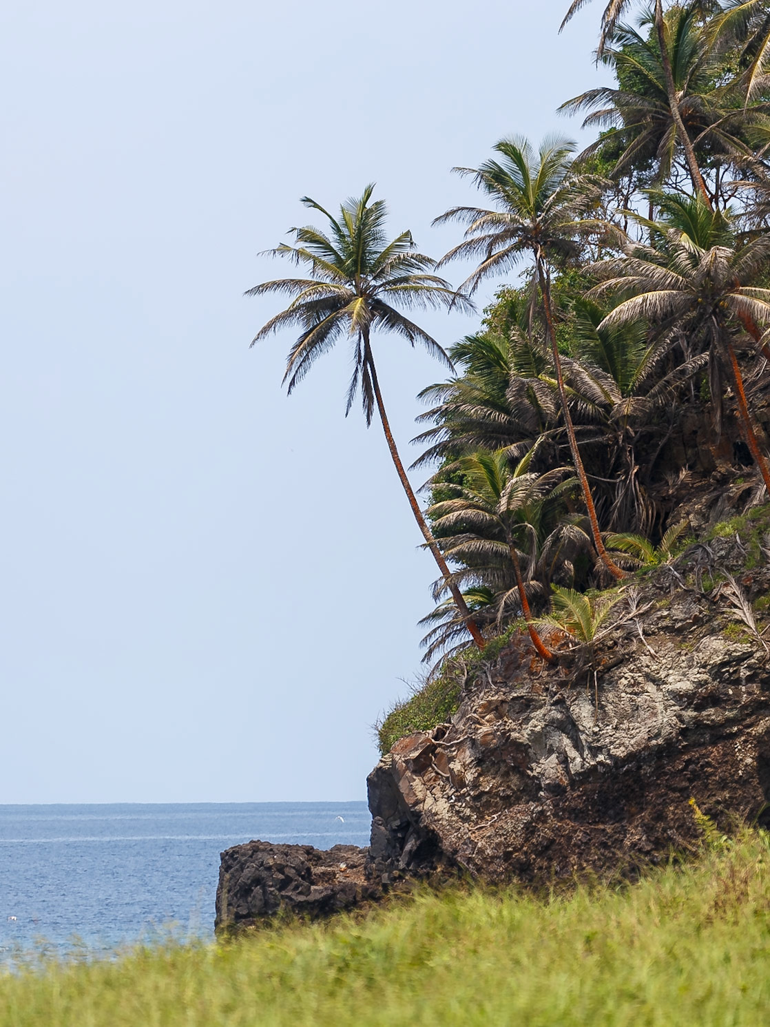 , Lembá, São Tomé and Príncipe [Jan 2026]
