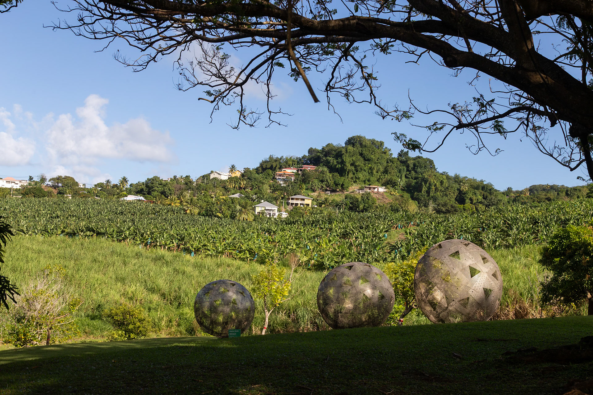 L'Habitation Clement, Le François, Le Marin, Martinique [Feb 2025]