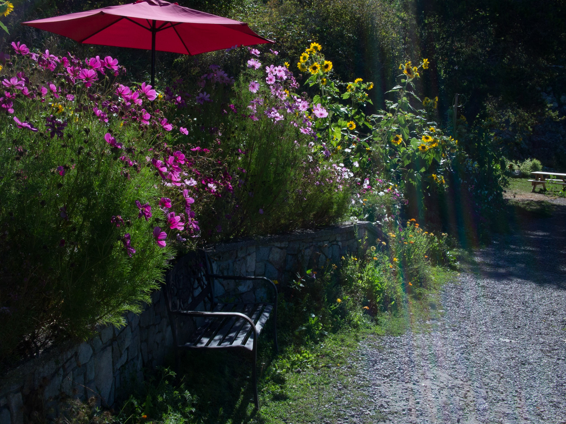 Lund, British Columbia, Canada [Sept 2014]