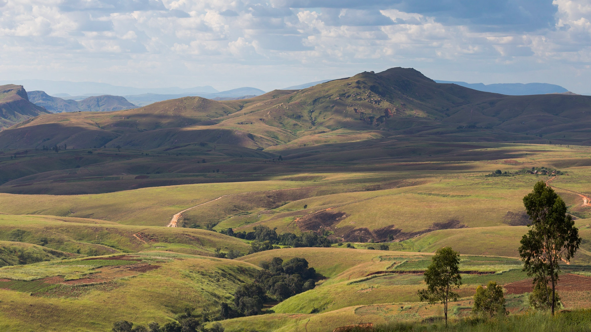 Maherikely, Boeny , Madagascar [Apr 2019]
