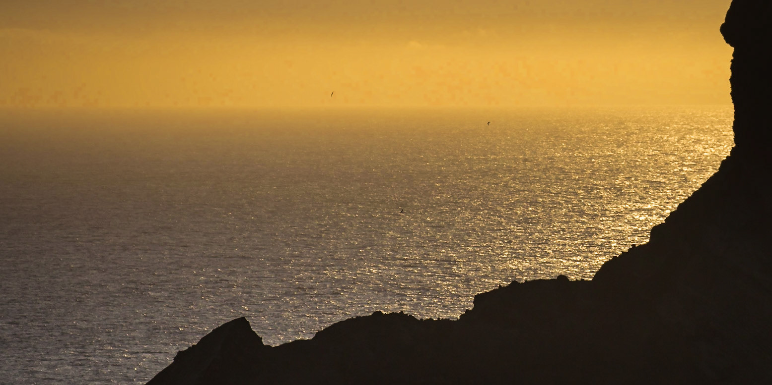 Capelo, Azores, Portugal [Aug 2019]