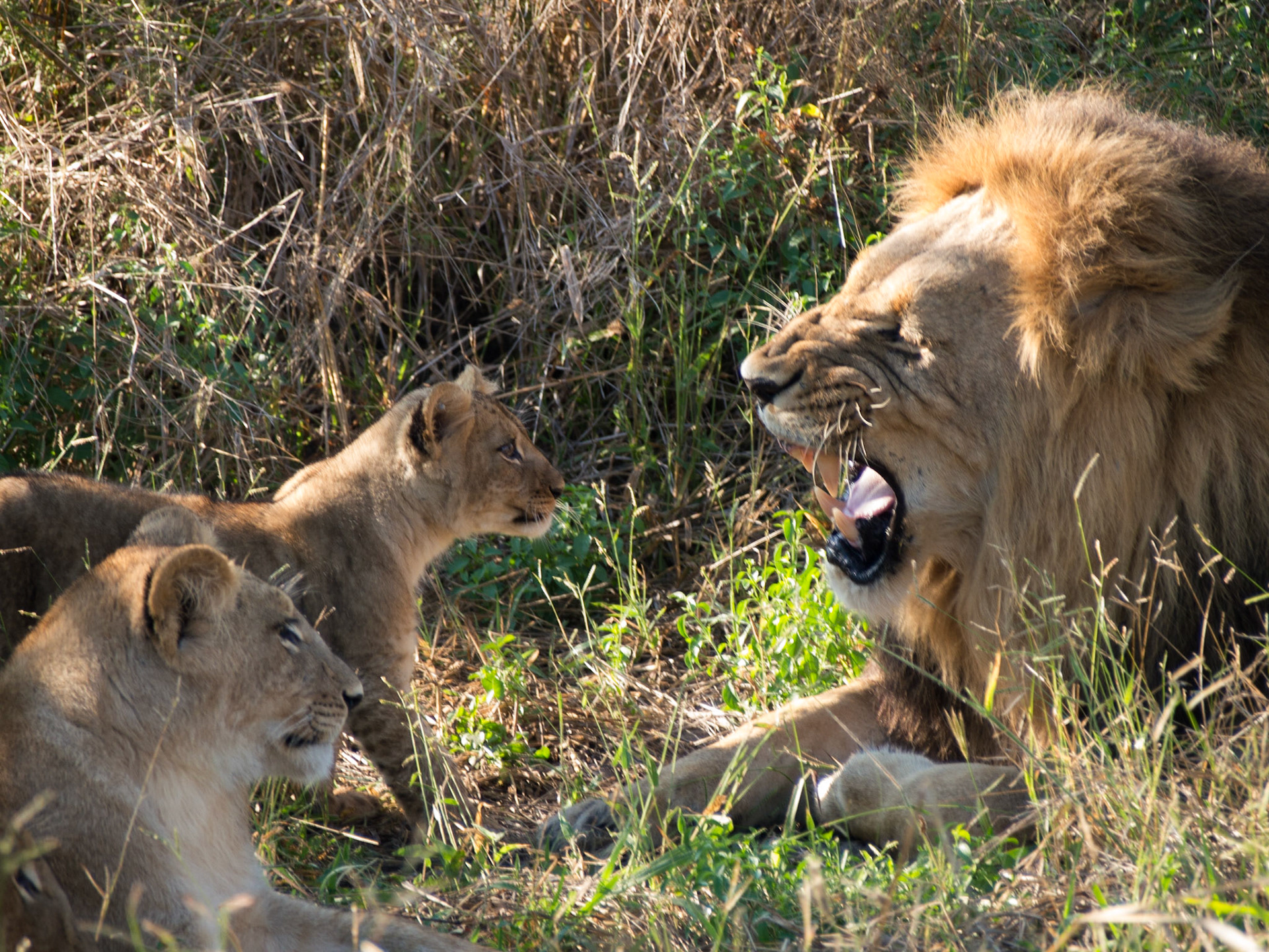 , North West, Botswana [Apr 2014]