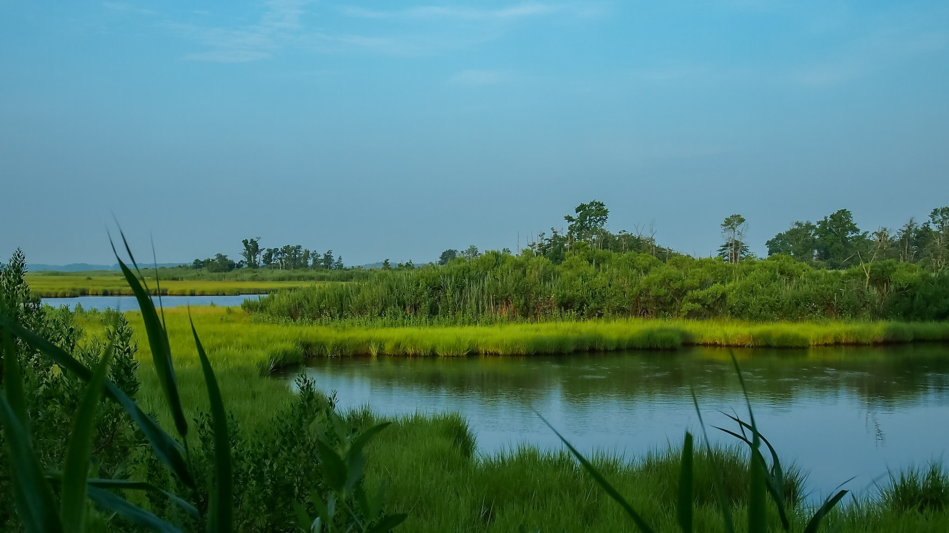 Smyrna, Delaware, United States [Jul 2013]