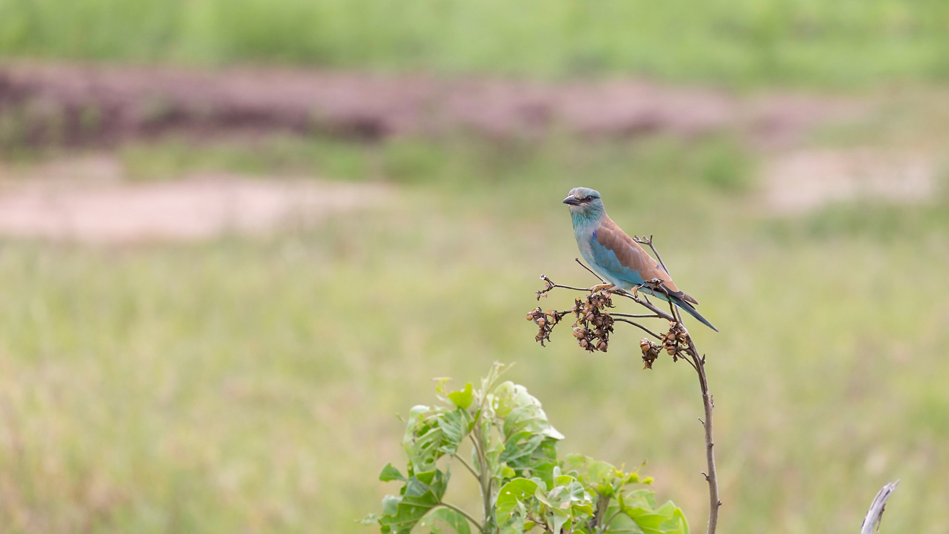 , Manyara, Tanzania [Jan 2023]
