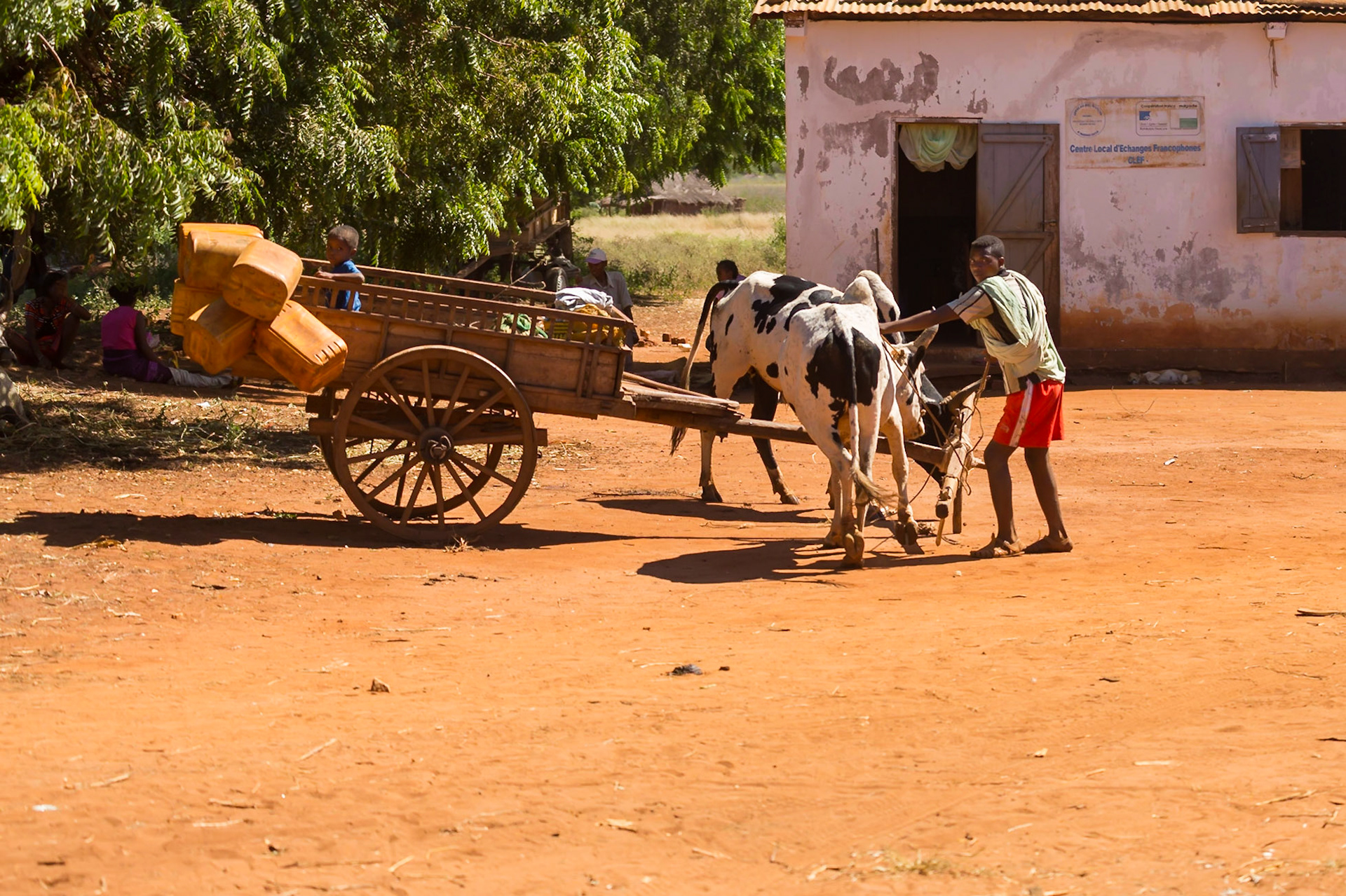 Andranovory, Toliara, Madagascar [Apr 2019]