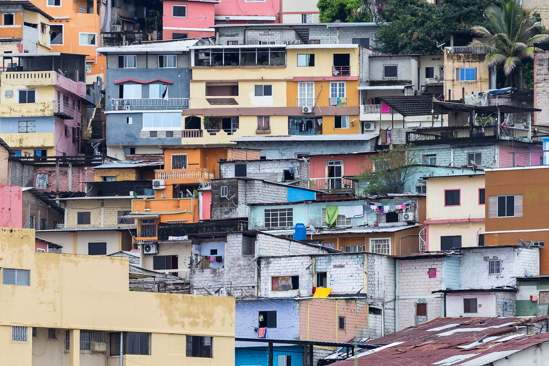 Guayaquil, Guayas, Ecuador [Mar 2022]