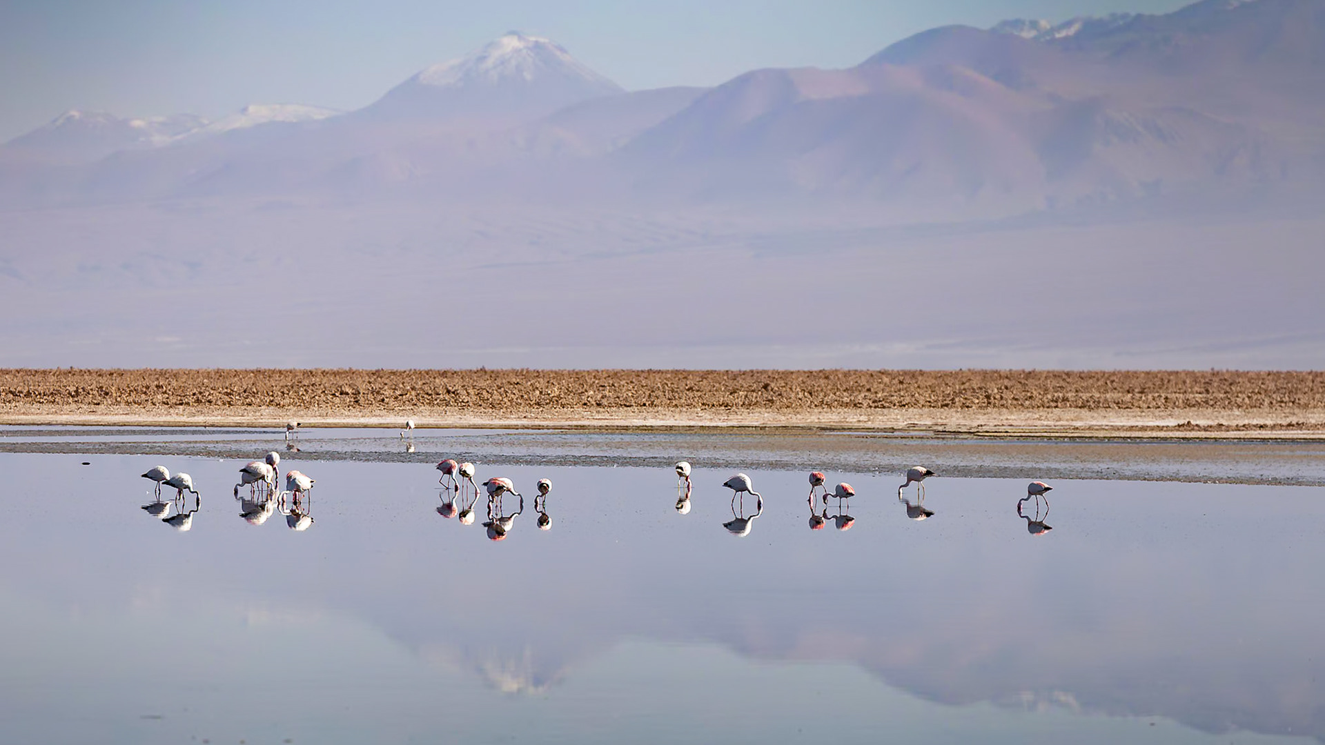 San Pedro de Atacama, Antofagasta, Chile [Jan 2024]