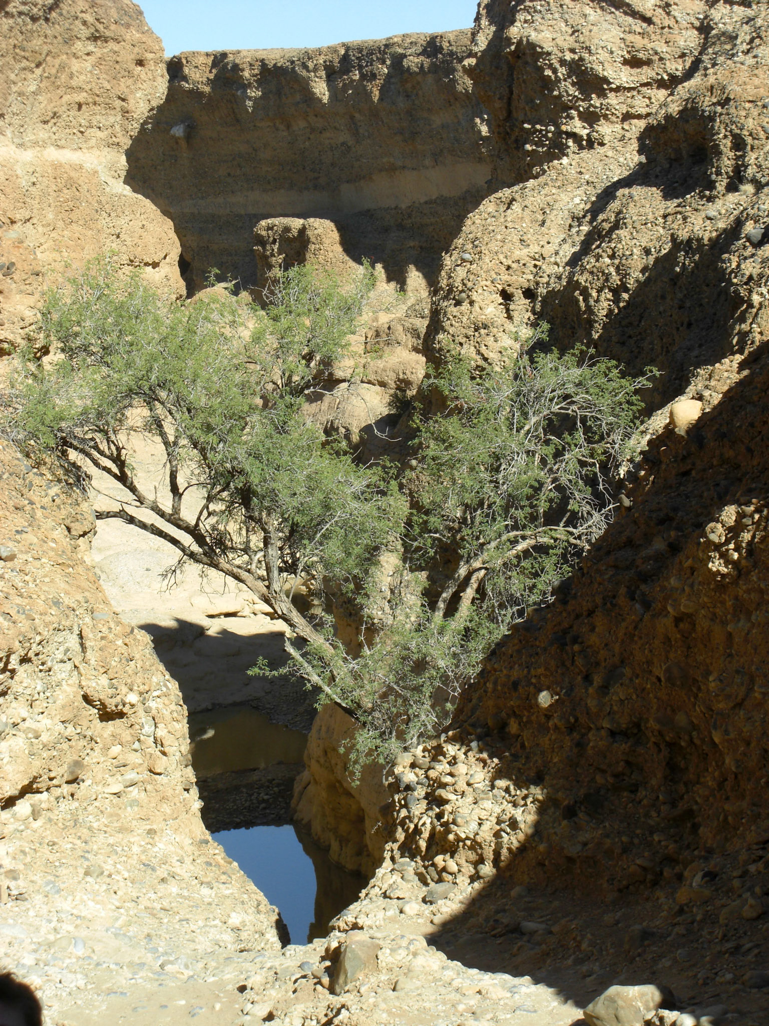 Sesriem, Hardap, Namibia [Apr 2010]
