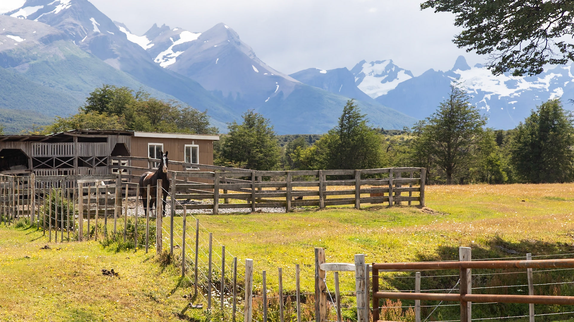 Torres del Paine, Magellan and the Chilean Antarctic, Chile [Jan 2024]