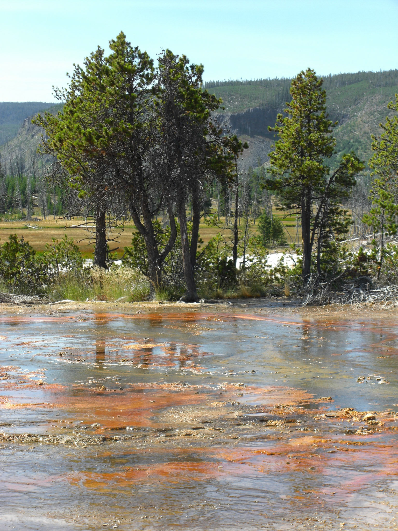 080820 - USA - Yellowstone Geysers - Grand Canyon of the Yellowstone - Chico Hot Springs