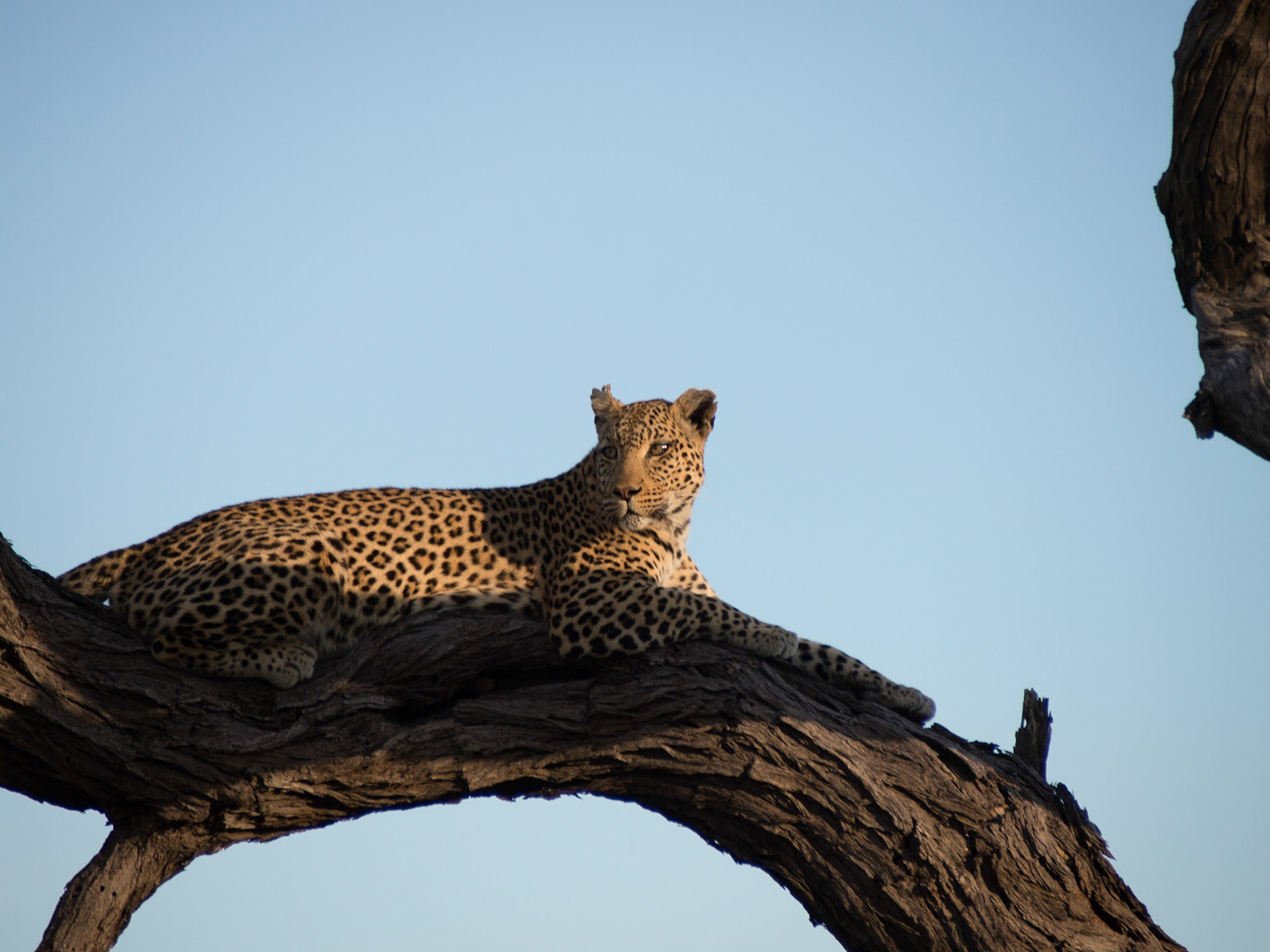 , North West, Botswana [Apr 2014]