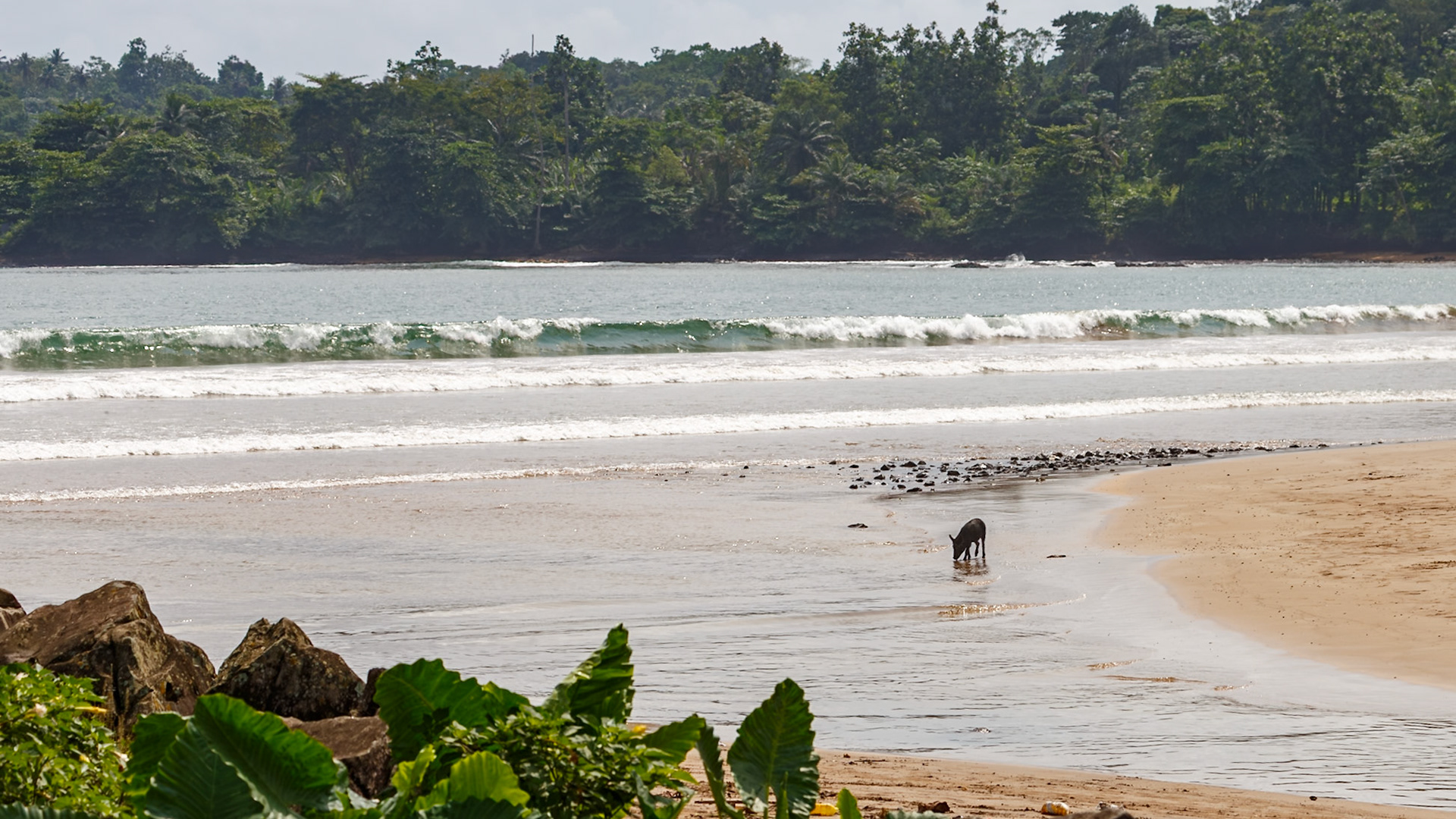 Vila Malanza, Caué, São Tomé and Príncipe [Jan 2026]