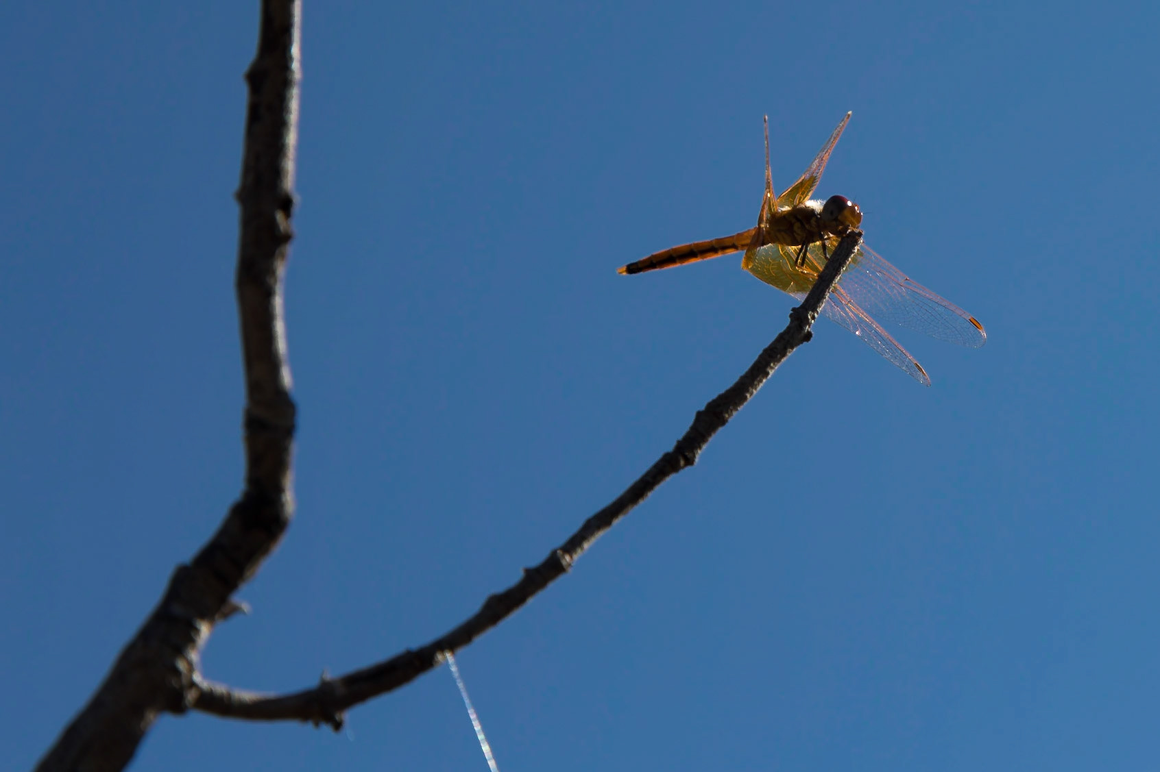 Ranohira, Ihosy, Madagascar [Apr 2019]