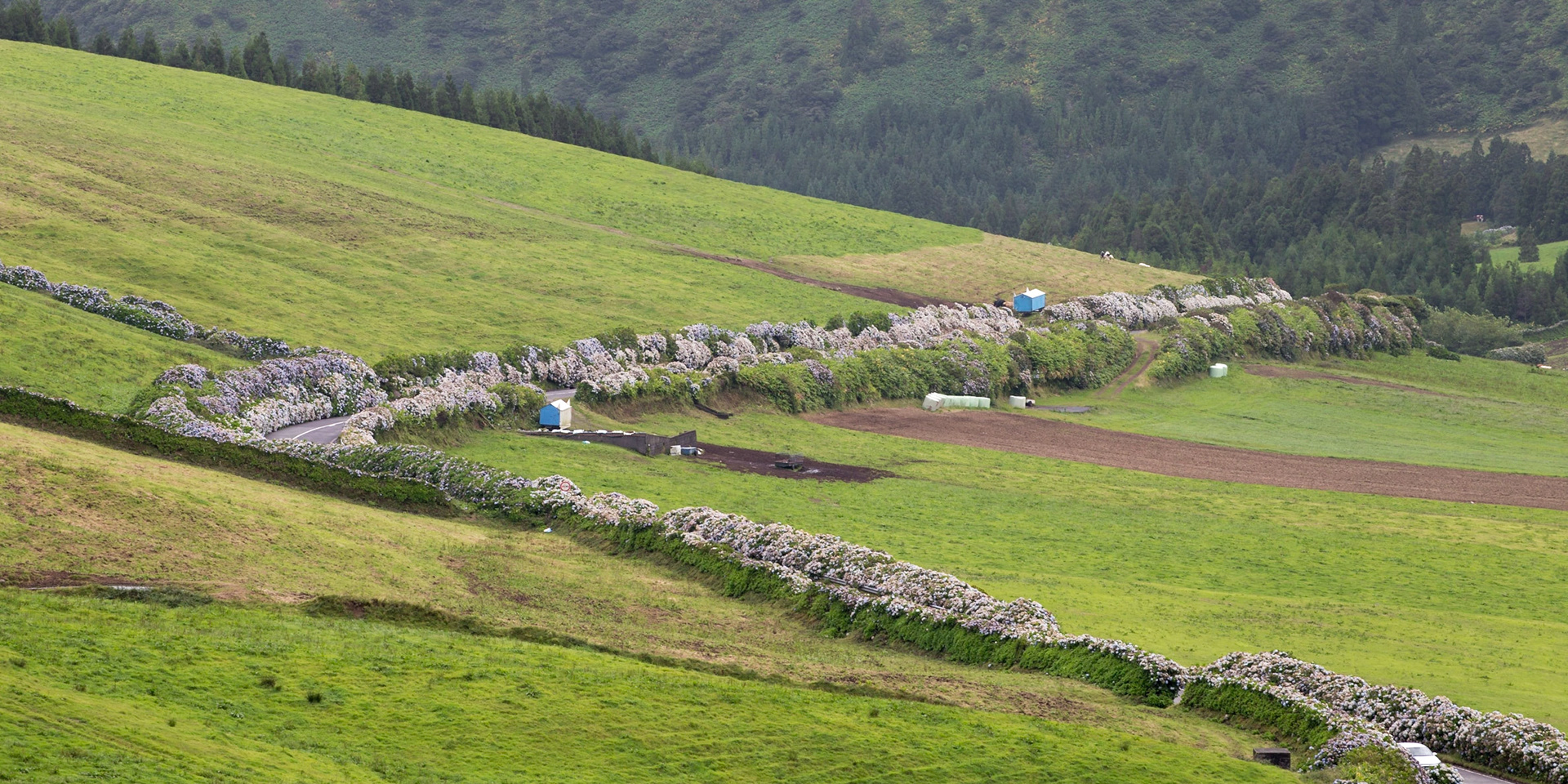 Sete Cidades, Azores, Portugal [Aug 2019]