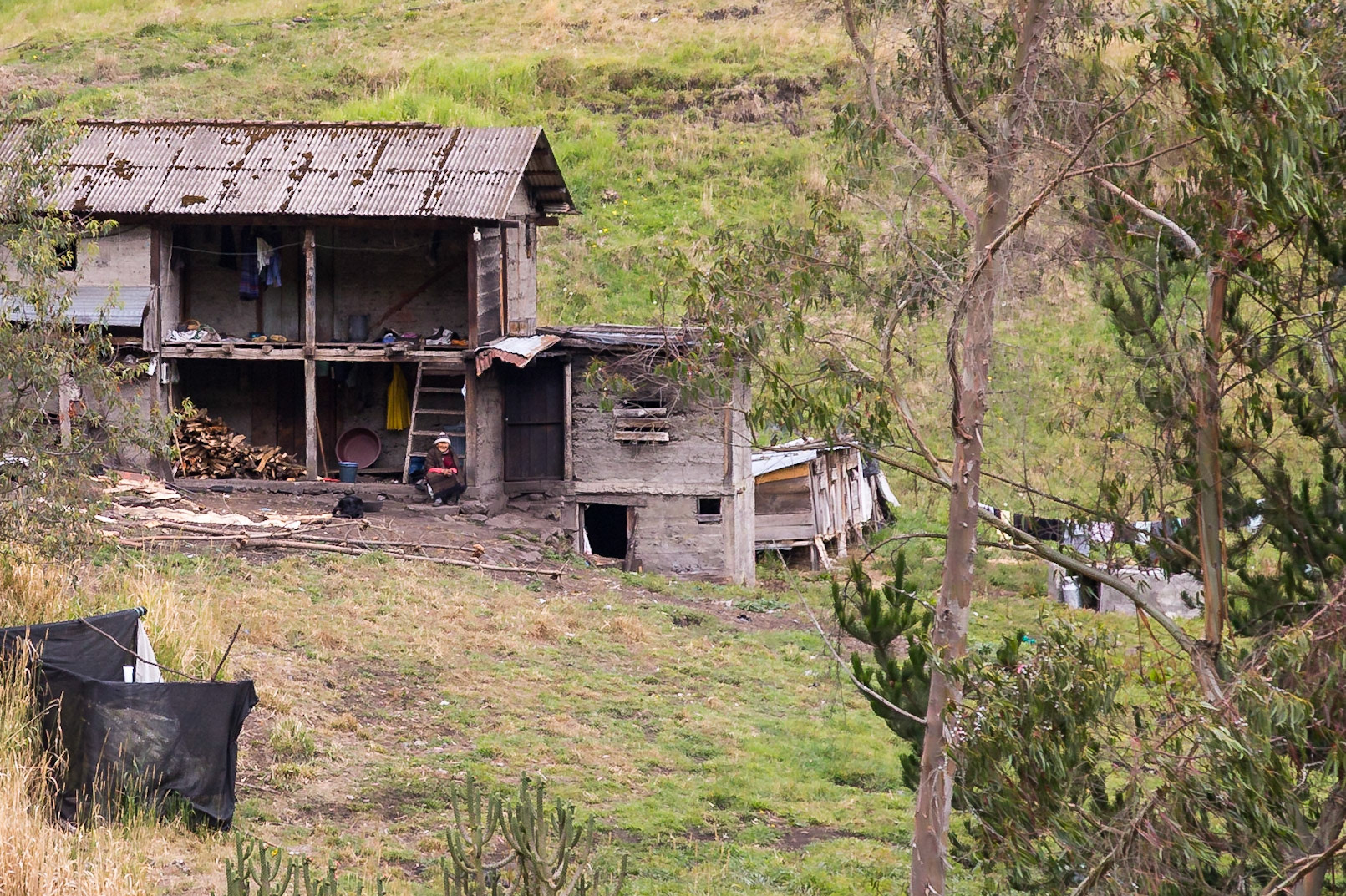 Ambato Canton, Tungurahua, Ecuador [Mar 2022]