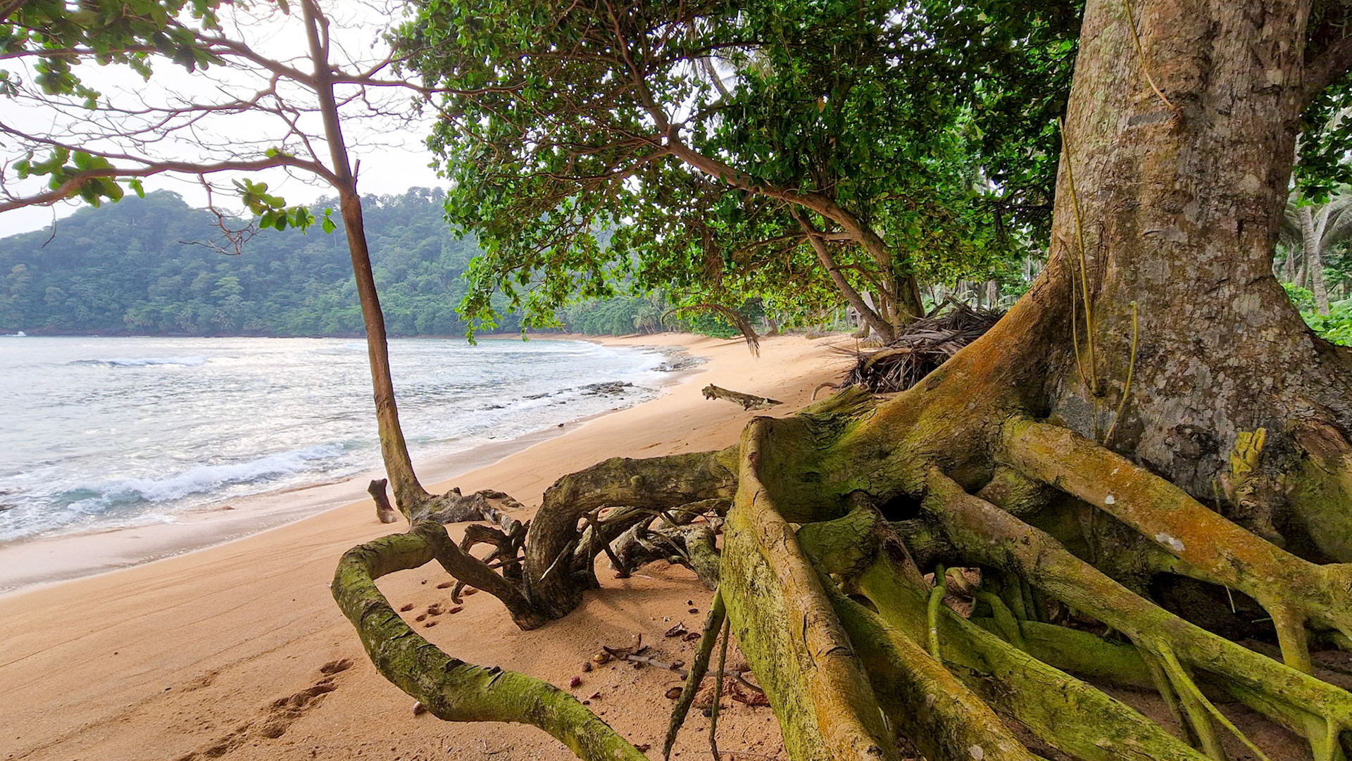 , Caué, São Tomé and Príncipe [Jan 2026]