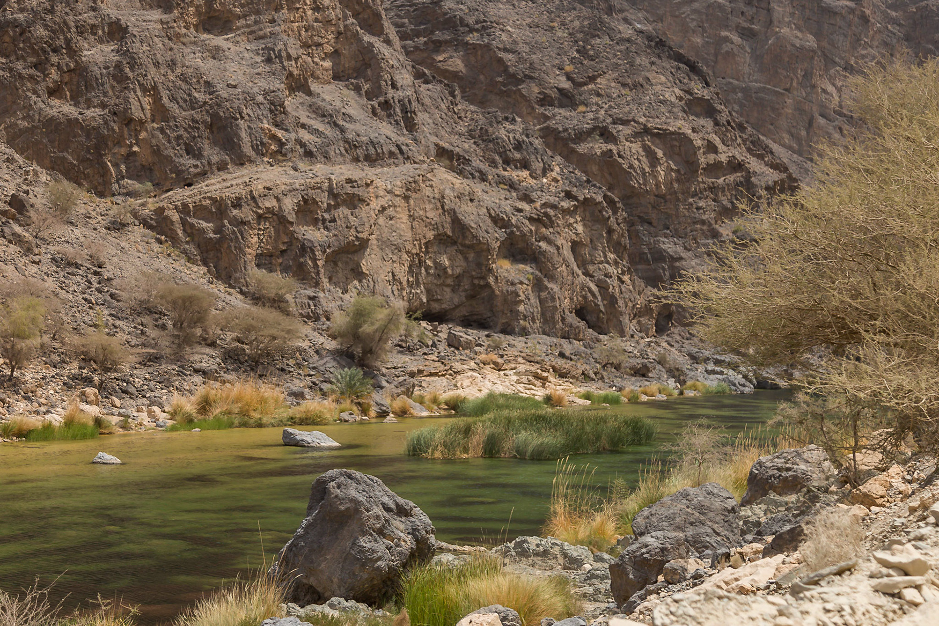 Qurayyat, Muscat Governorate, Oman [Apr 2018]