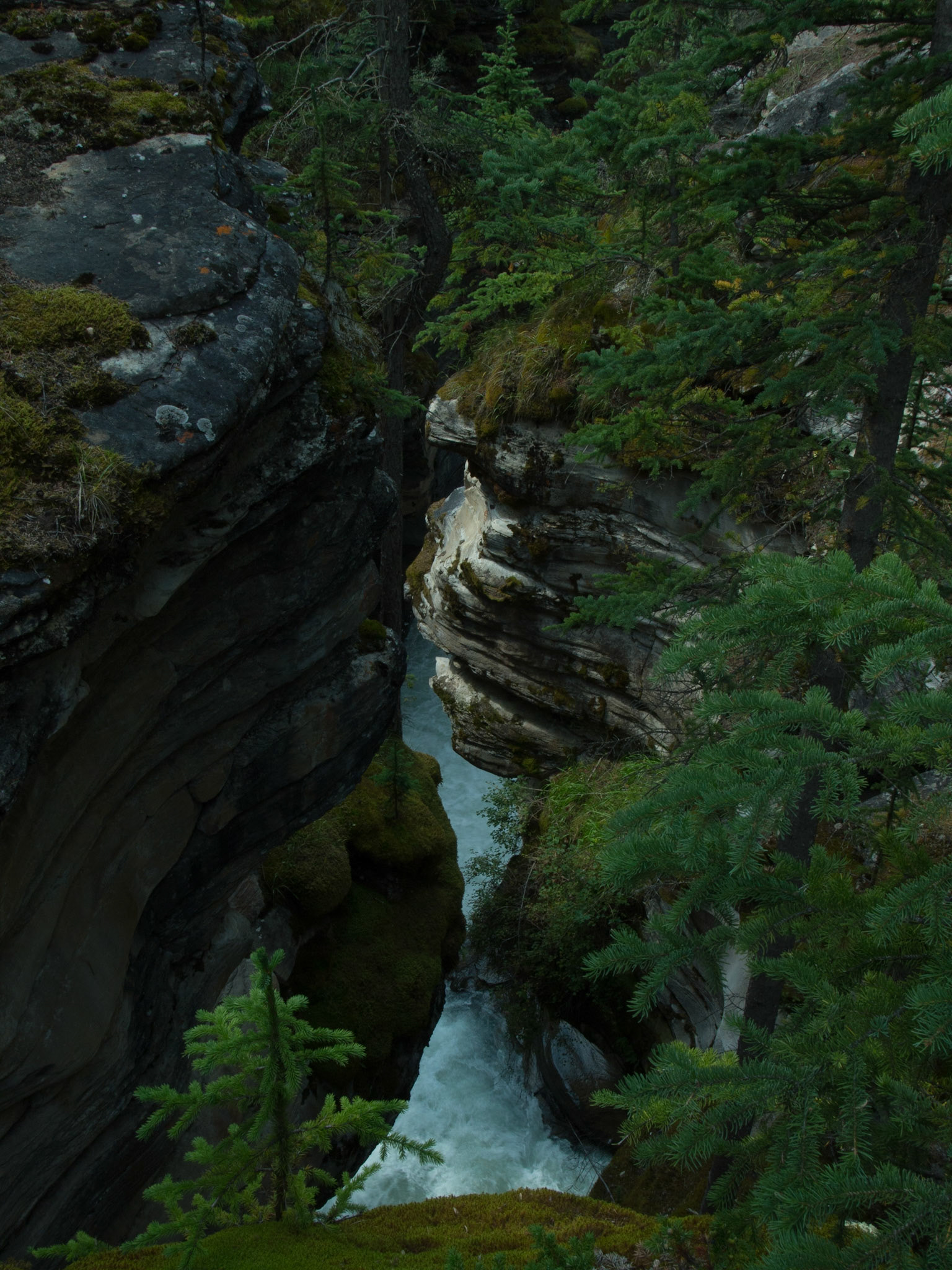 , Alberta, Canada [Aug 2014]