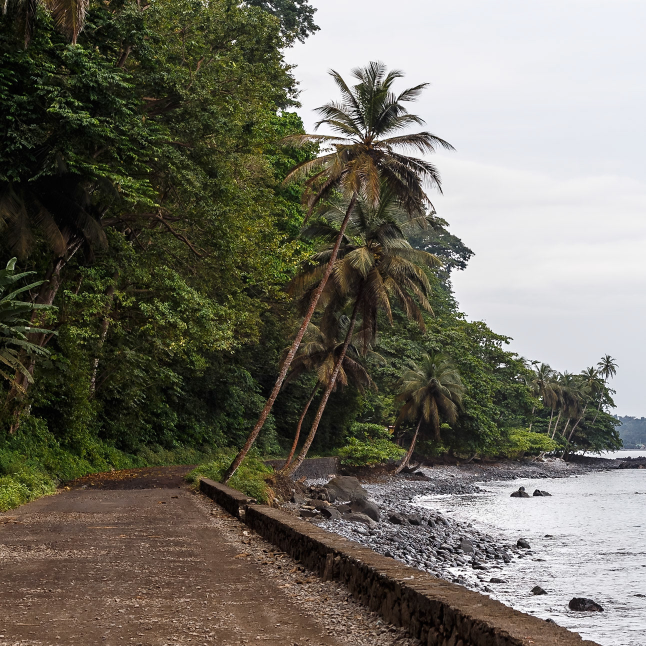 Monte Forte, Lembá, São Tomé and Príncipe [Jan 2026]