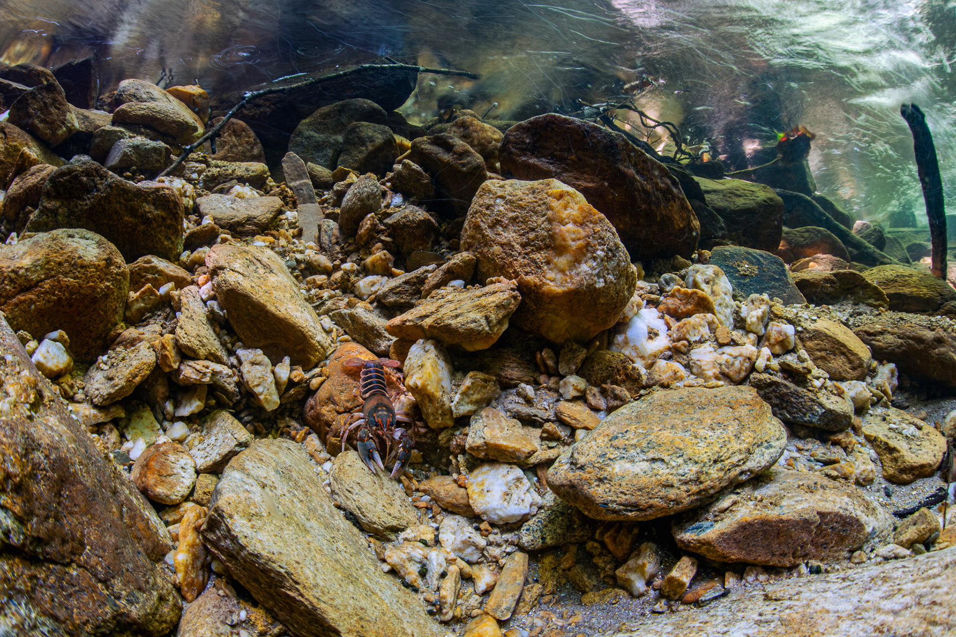 Spring Fed Creek