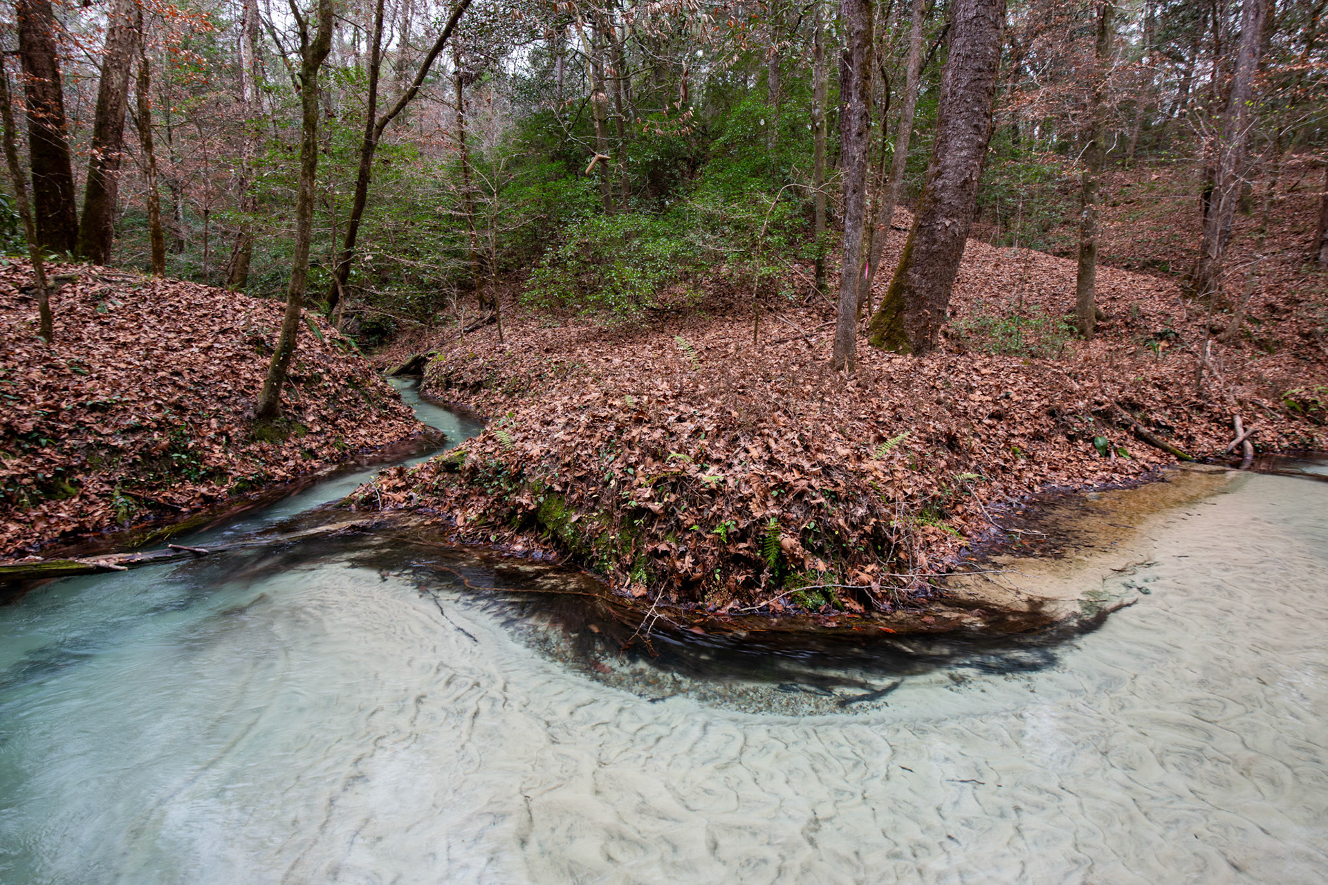 Spring Run