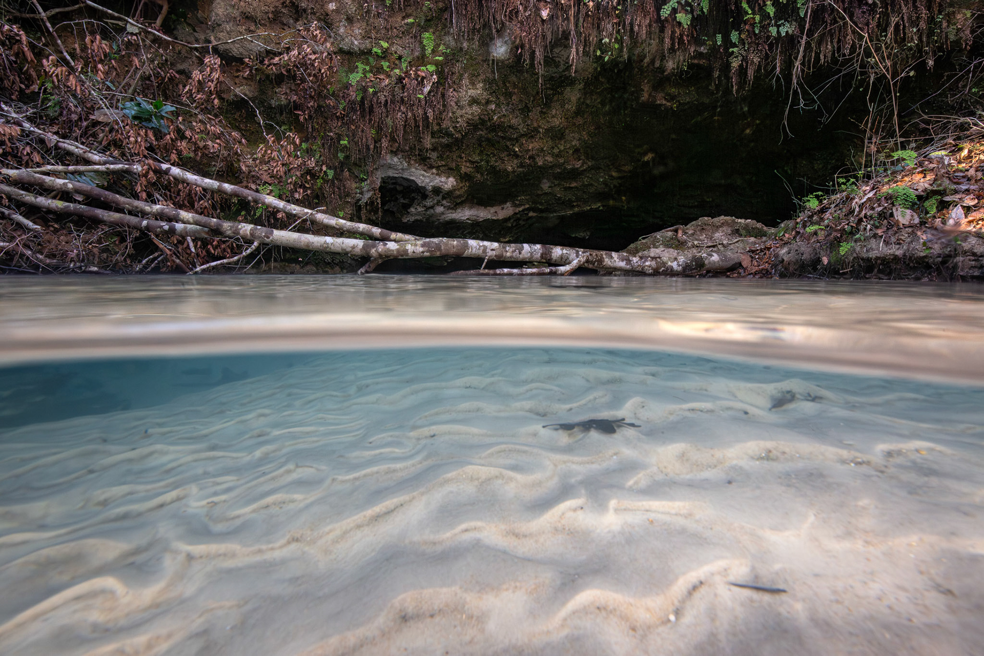 Spring Run
