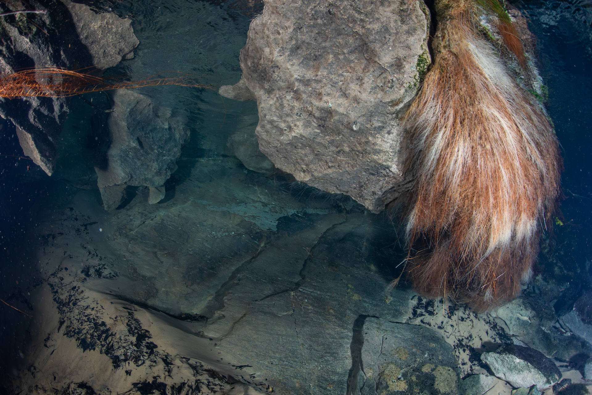 Karst openings inside spring head.