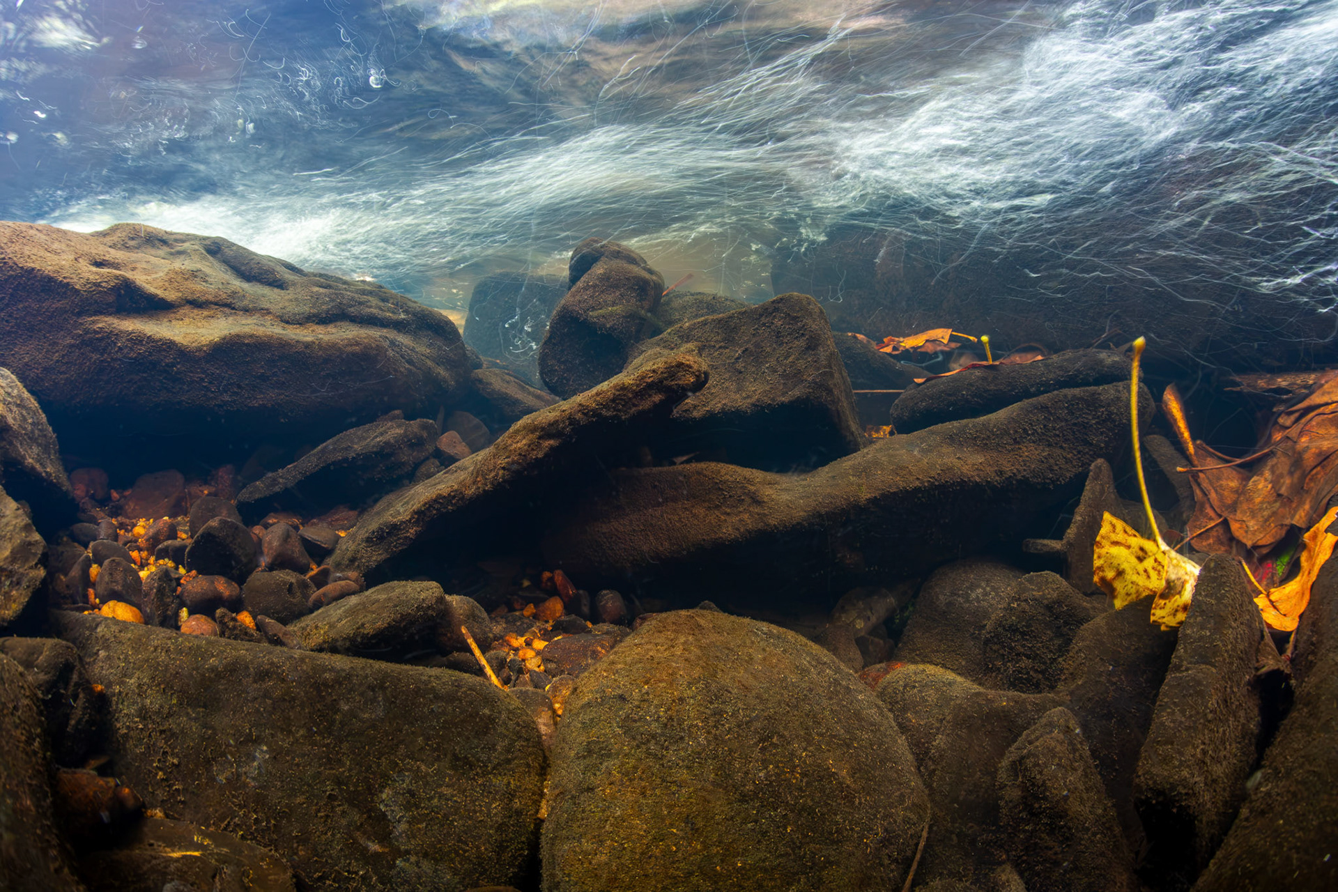 Little Bear Creek
