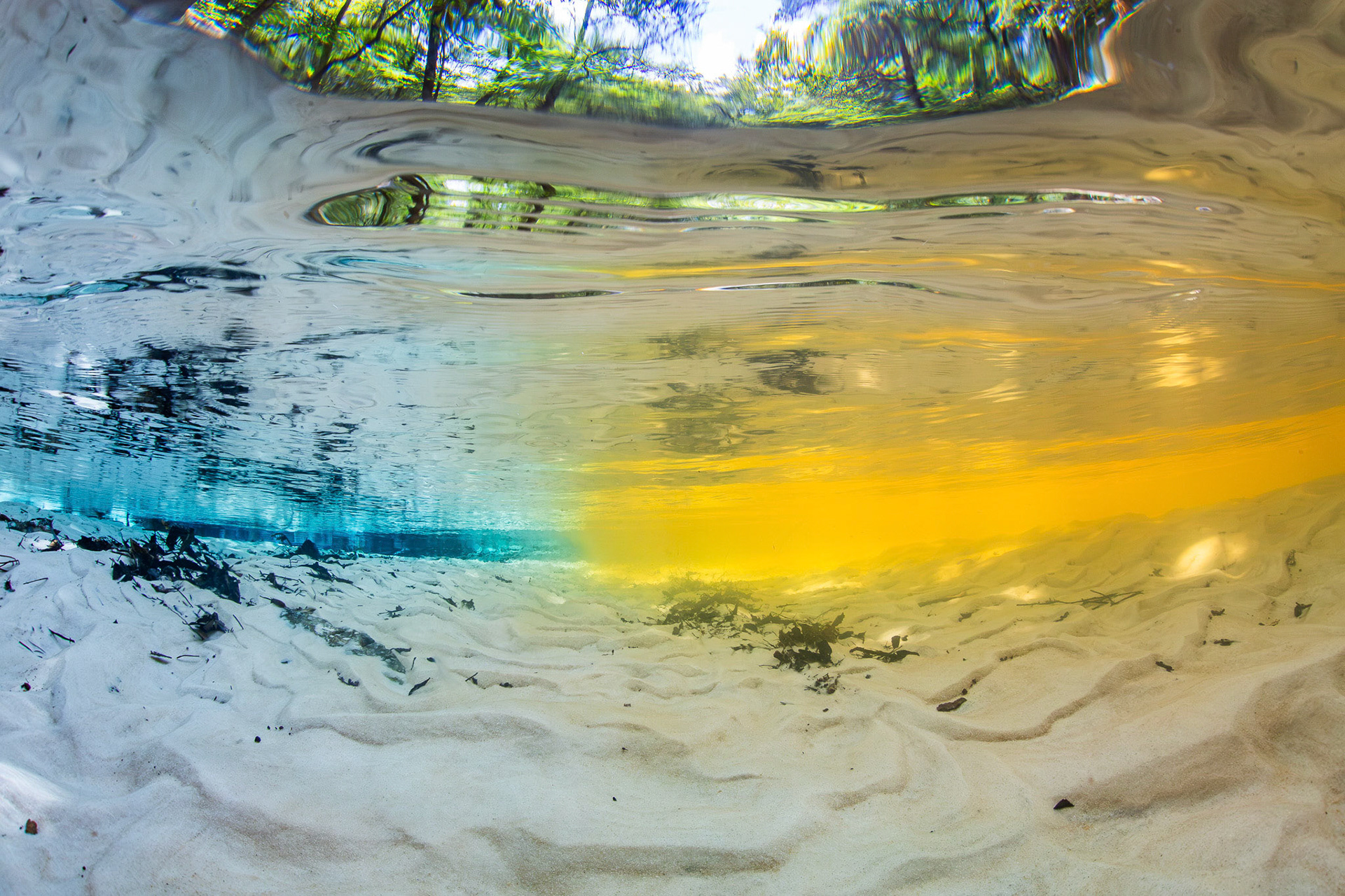 Spring and creek confluence