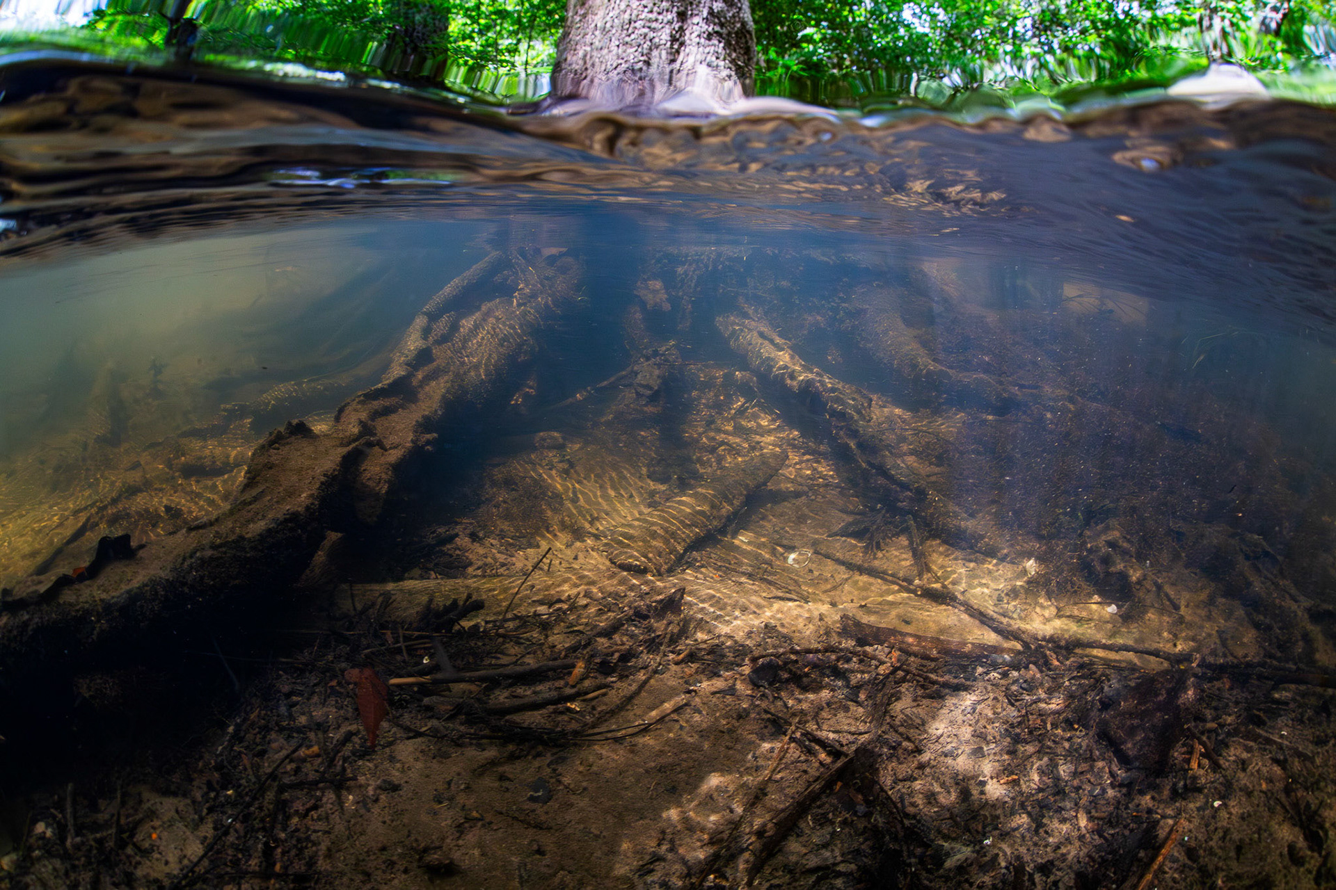 Spring fed creek