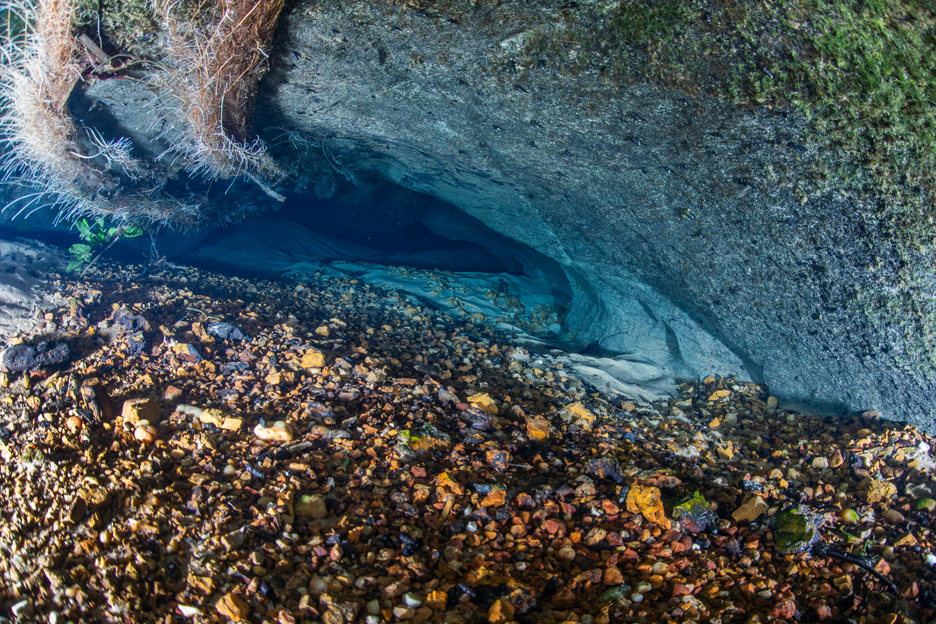 Karst opening into spring vent.