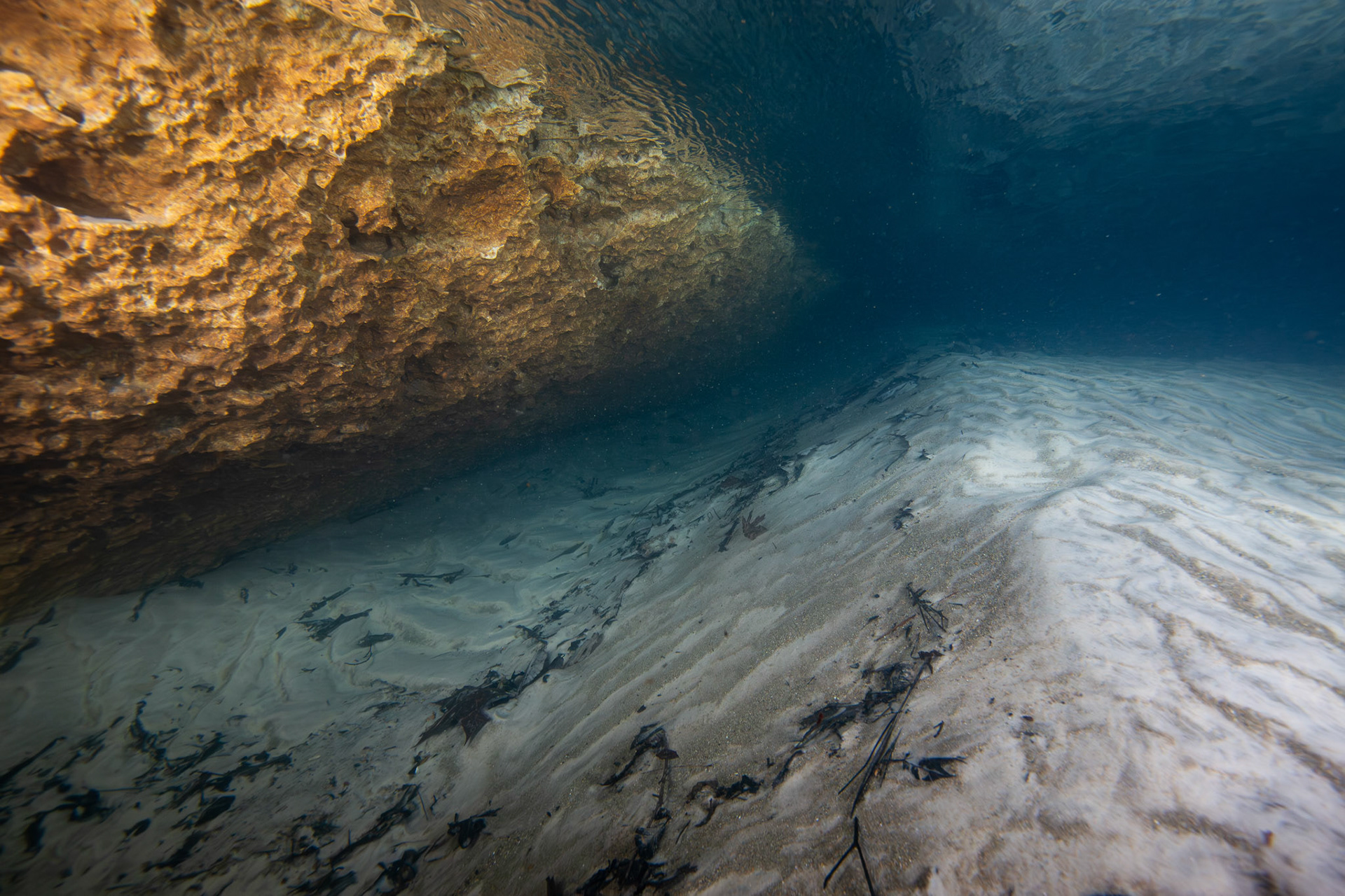 Spring Run